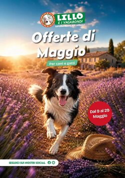 Volantino promozionale Lillo e i Vagabondi  valide dal 09/05/2026