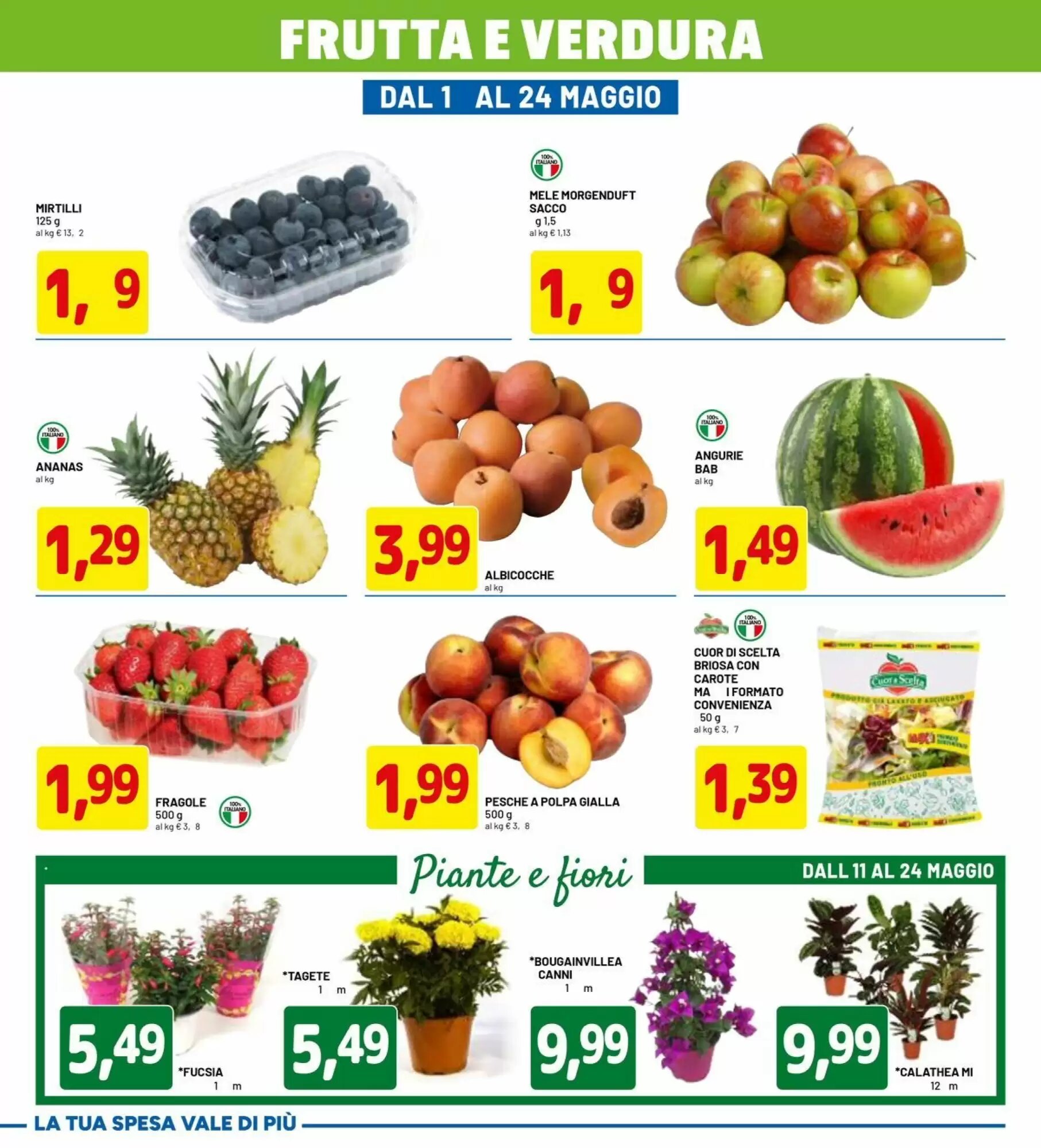 Volantino promozionale DPiù  valide dal 11/05/2026 - Pagina 3.
