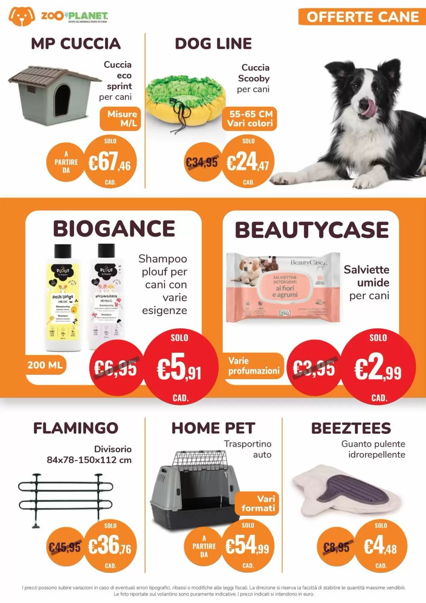 Volantino promozionale ZooPlanet  valide dal 12/05/2026 - Pagina 6.