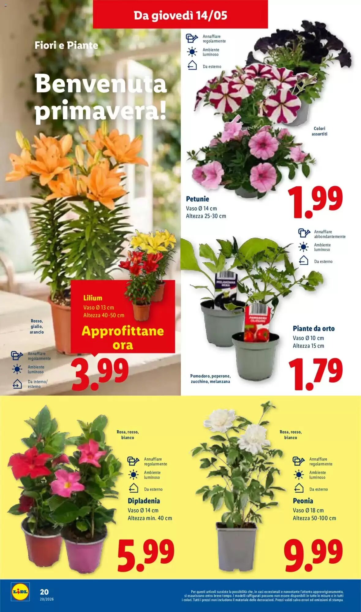 Volantino promozionale Lidl  valide dal 14/05/2026 - Pagina 28.