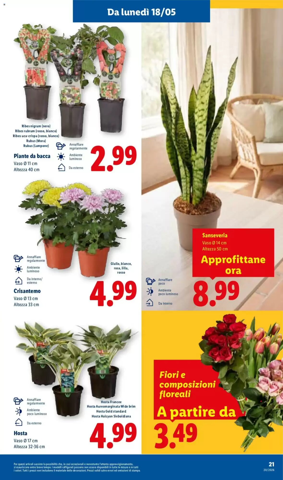 Volantino promozionale Lidl  valide dal 14/05/2026 - Pagina 29.