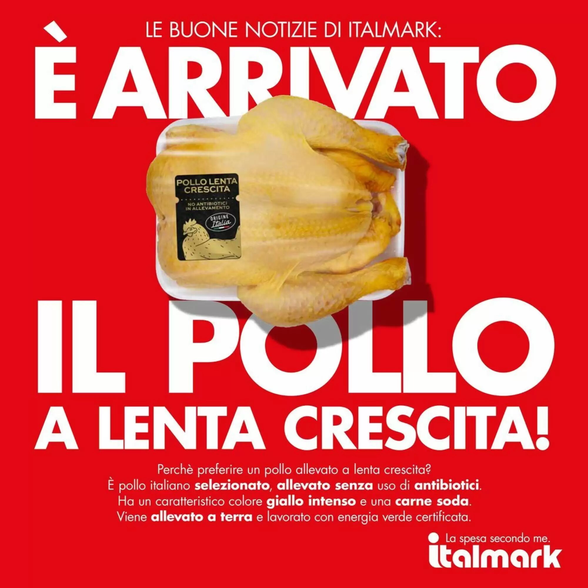 Volantino promozionale Italmark  valide dal 14/05/2026 - Pagina 18.