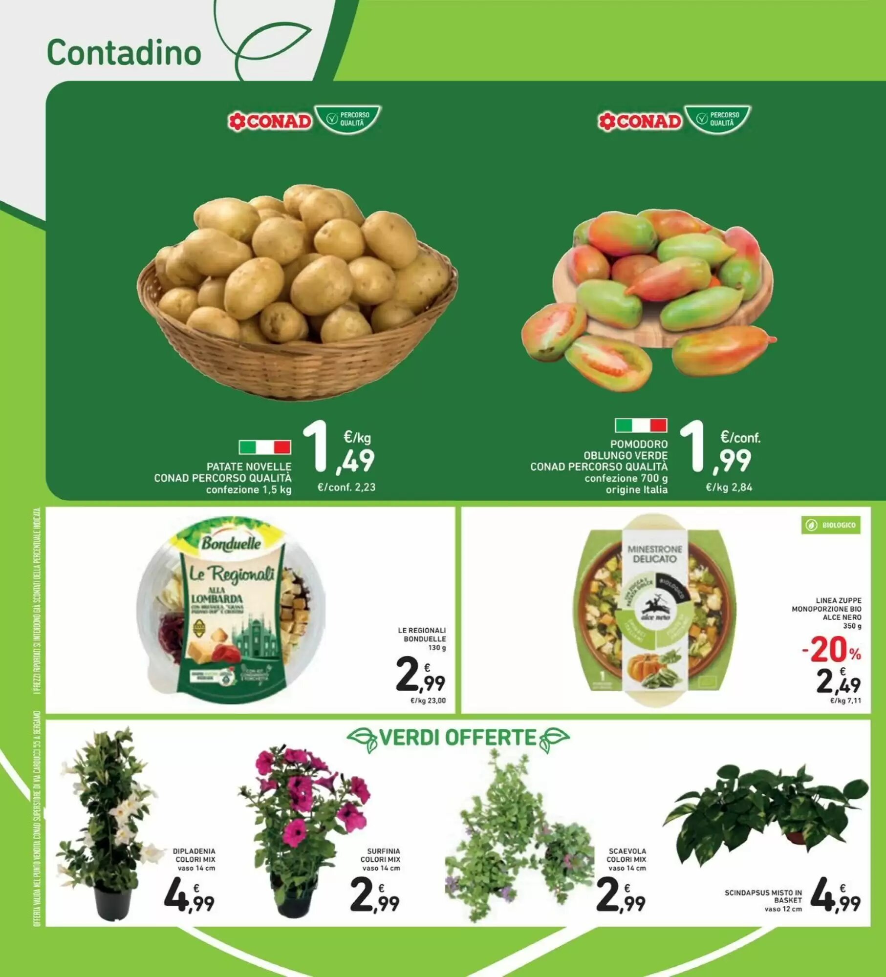 Volantino promozionale Conad Superstore  valide dal 15/05/2026 - Pagina 14.