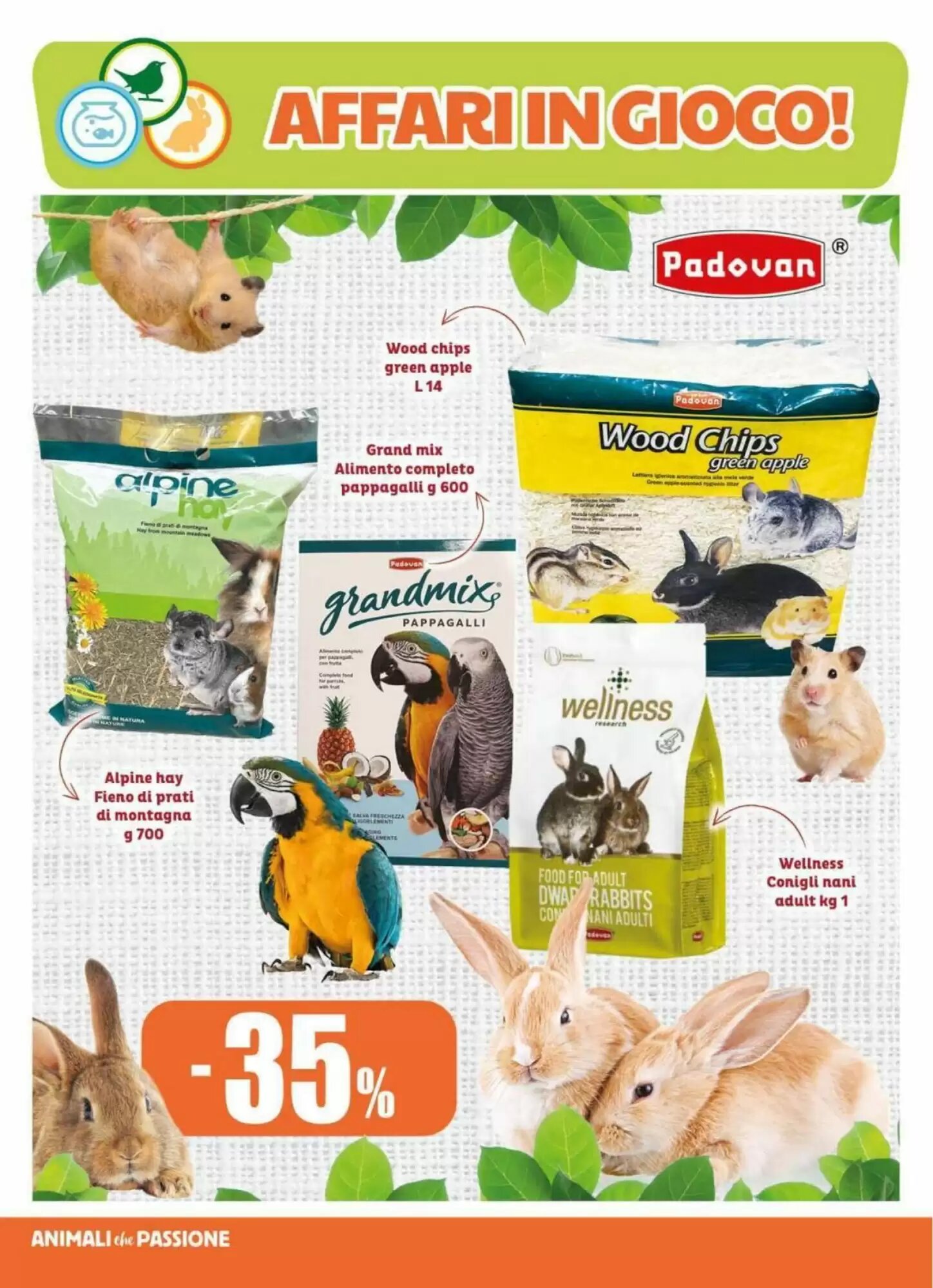 Volantino promozionale Elite Pet  valide dal 20/05/2026 - Pagina 14.