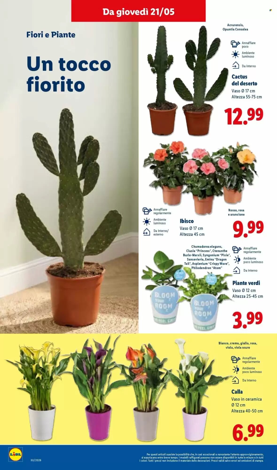Volantino promozionale Lidl  valide dal 21/05/2026 - Pagina 36.