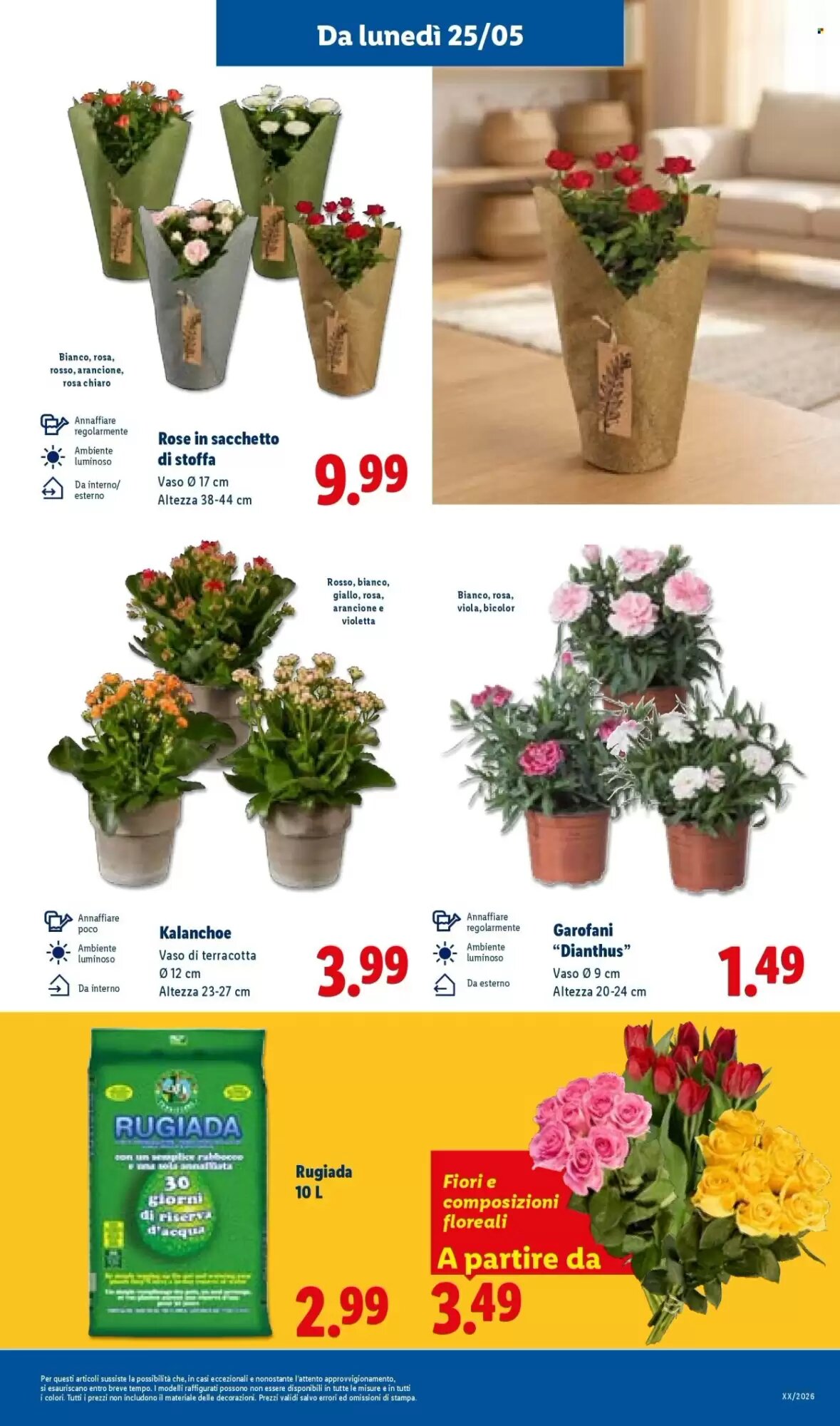 Volantino promozionale Lidl  valide dal 21/05/2026 - Pagina 37.