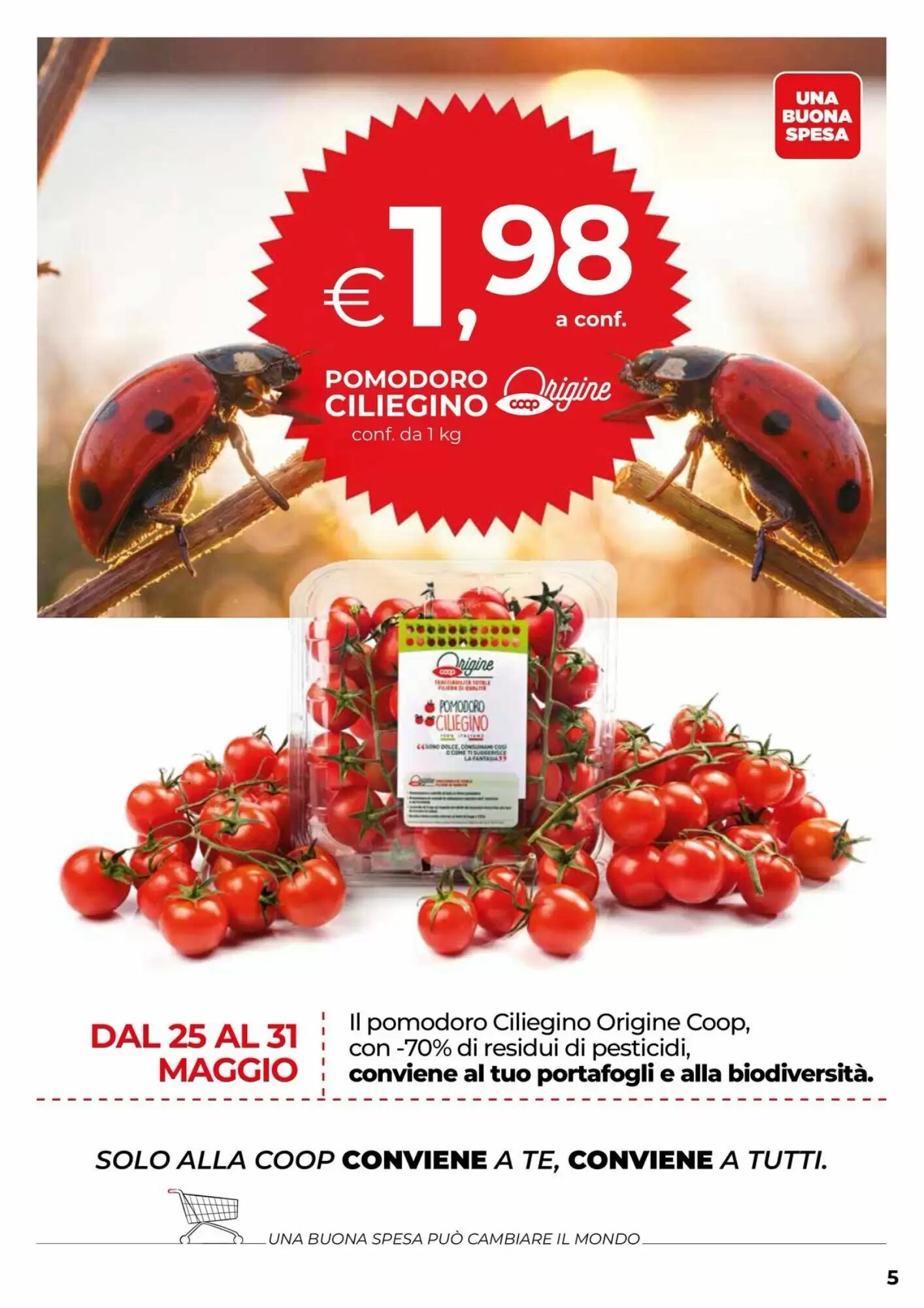Volantino promozionale Coop  valide dal 27/05/2026 - Pagina 5.