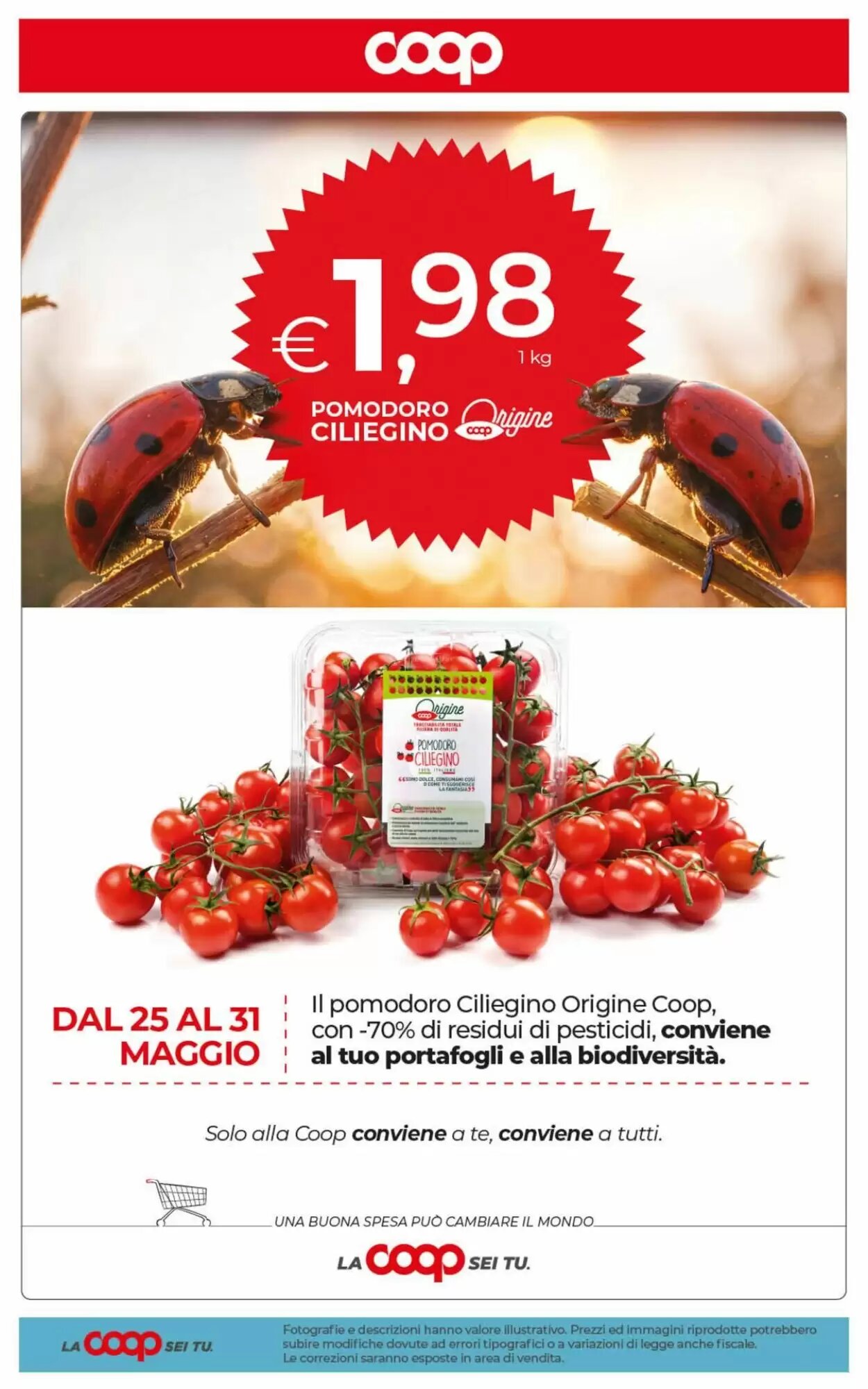 Volantino promozionale Coop  valide dal 29/05/2026 - Pagina 46.