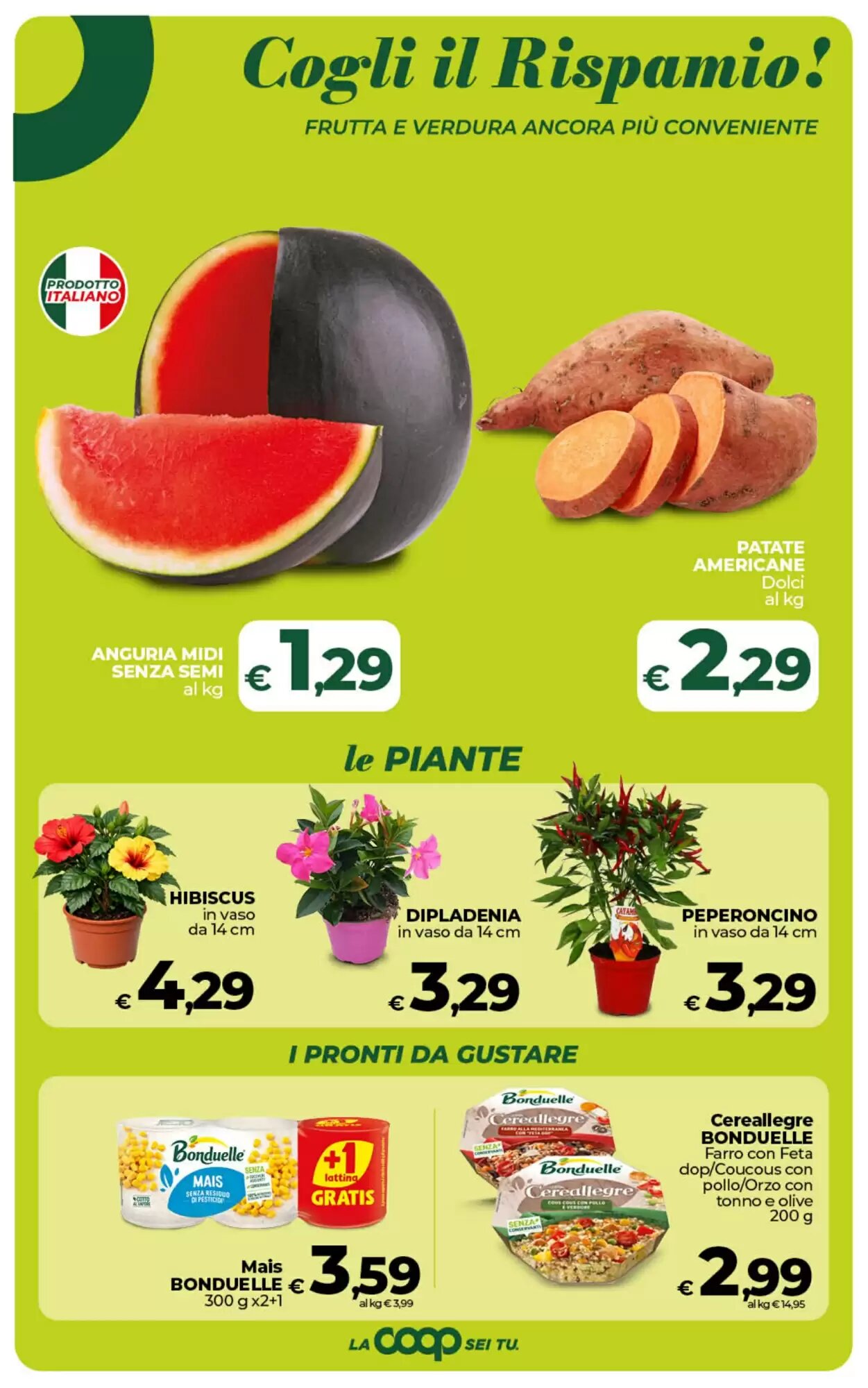 Volantino promozionale Ipercoop  valide dal 29/05/2026 - Pagina 24.