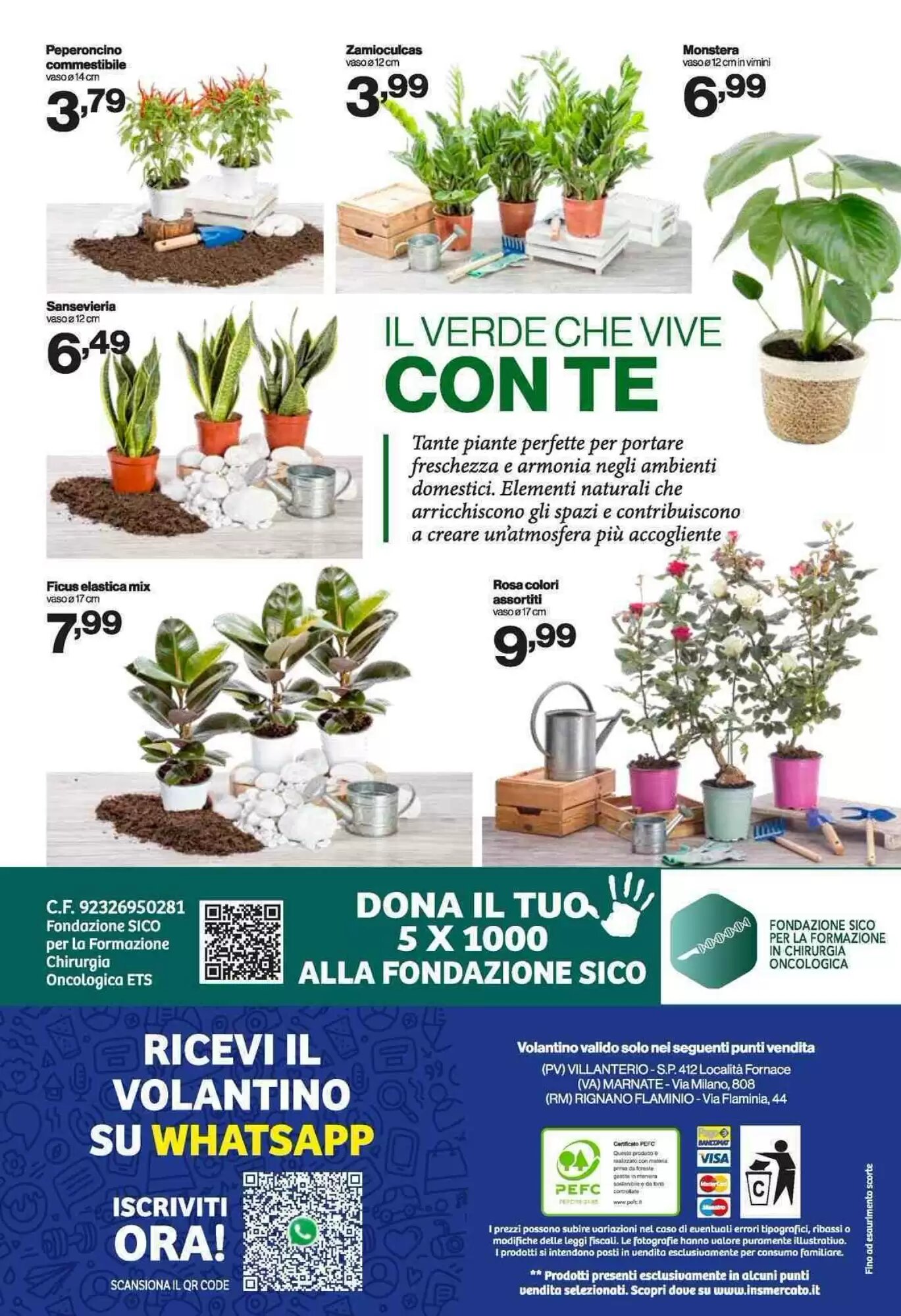 Volantino promozionale iN's Mercato  valide dal 03/06/2026 - Pagina 13.
