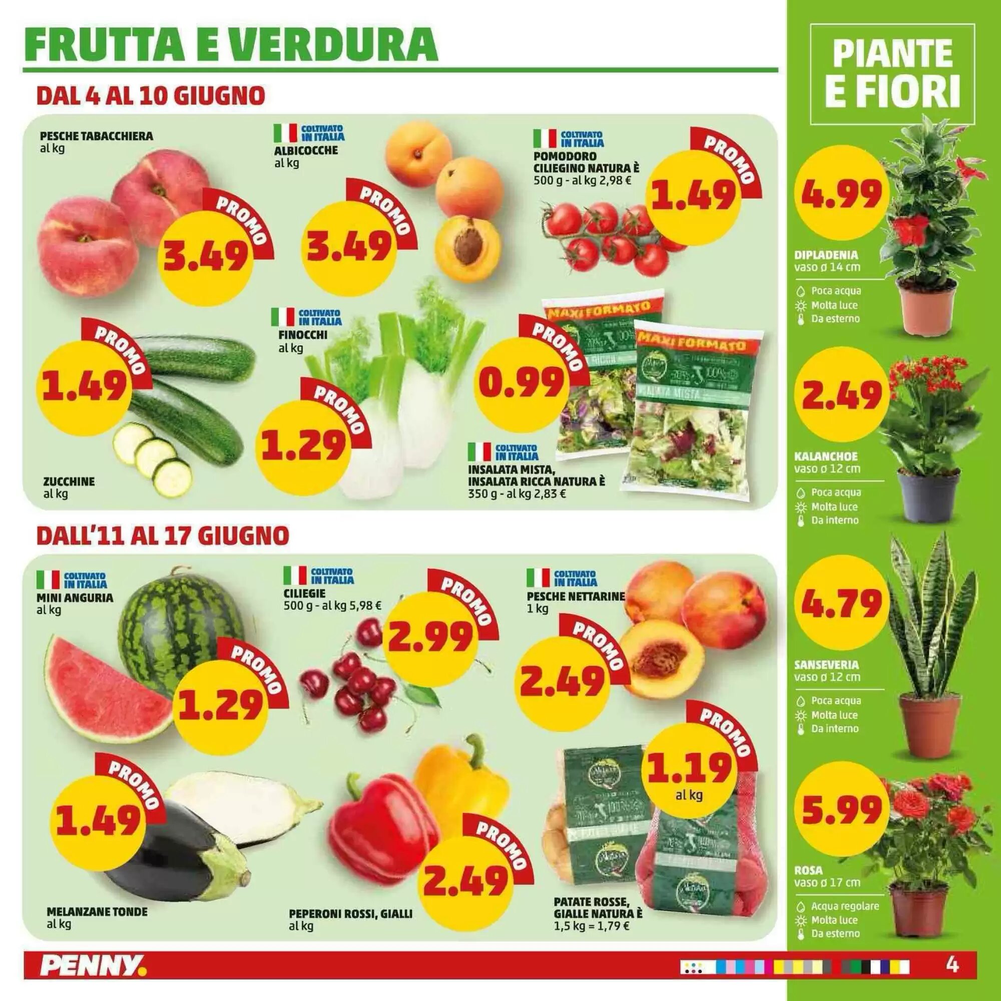 Volantino promozionale PENNY  valide dal 04/06/2026 - Pagina 4.