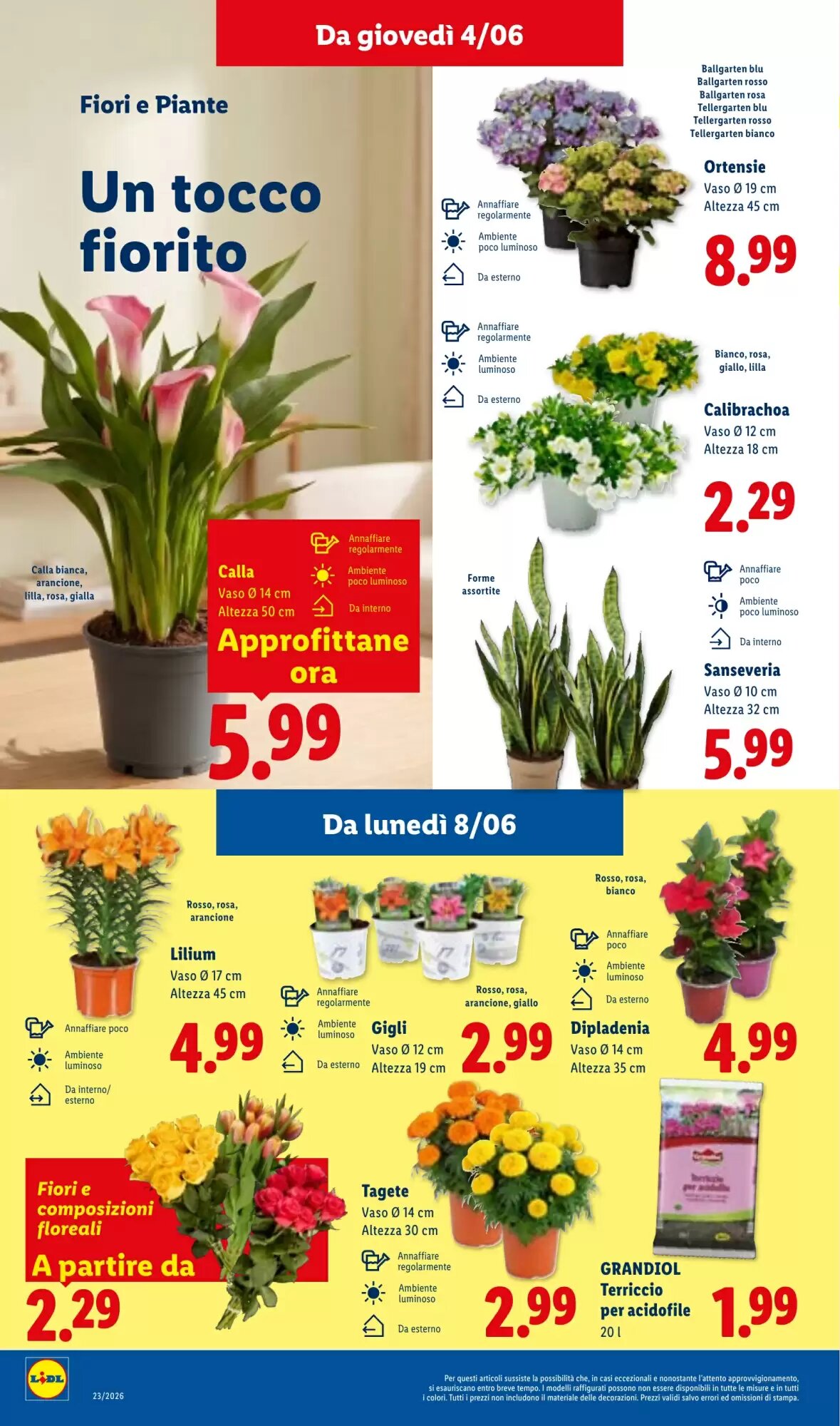 Volantino promozionale Lidl  valide dal 04/06/2026 - Pagina 32.
