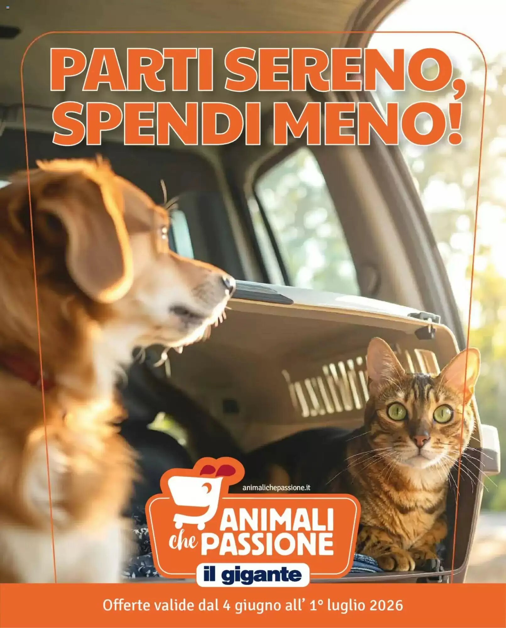 Volantino promozionale Il Gigante valide dal 04/06/2026 - Pagina 1.