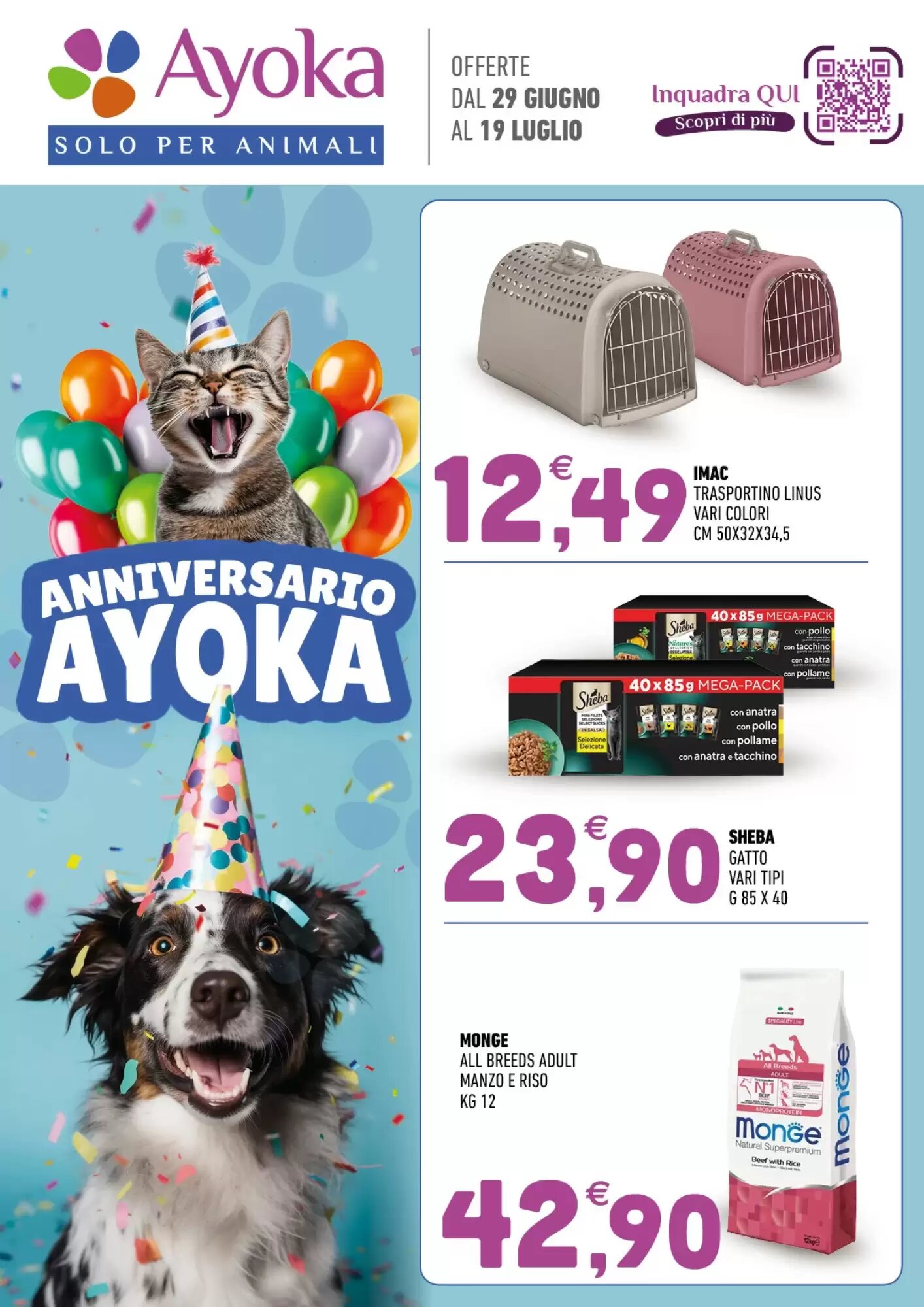 Volantino promozionale Ayoka valide dal 29/06/2026 - Pagina 1.