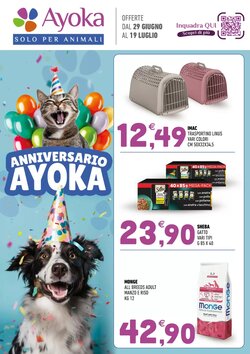 Volantino promozionale Ayoka valide dal 29/06/2026
