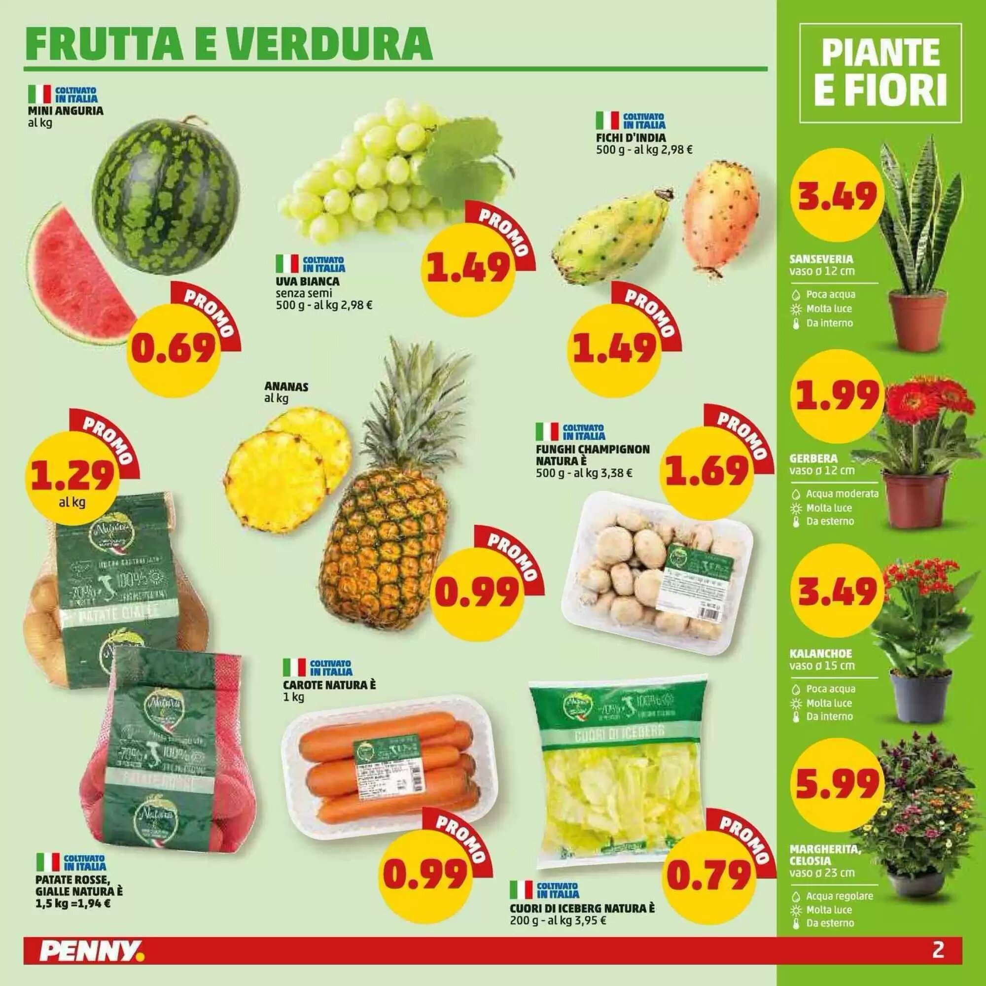 Volantino promozionale PENNY  valide dal 13/08/2026 - Pagina 2.