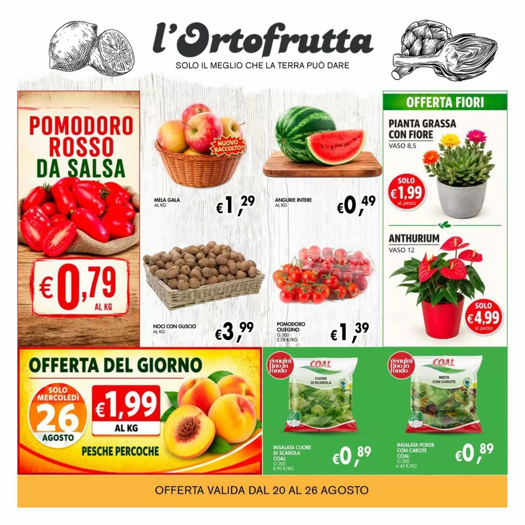 Volantino promozionale èccoMI  valide dal 13/08/2026 - Pagina 3.