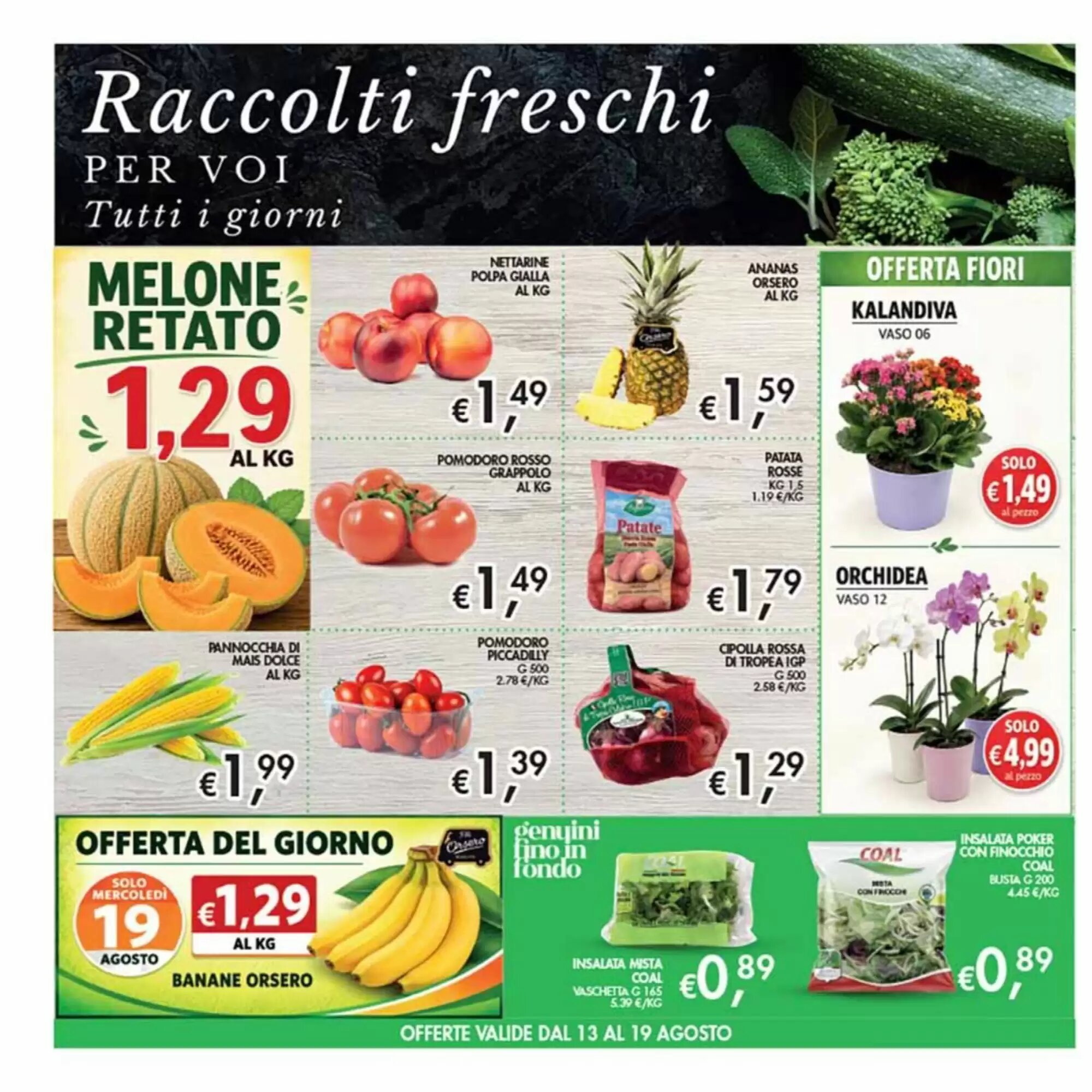 Volantino promozionale Coal  valide dal 13/08/2026 - Pagina 4.