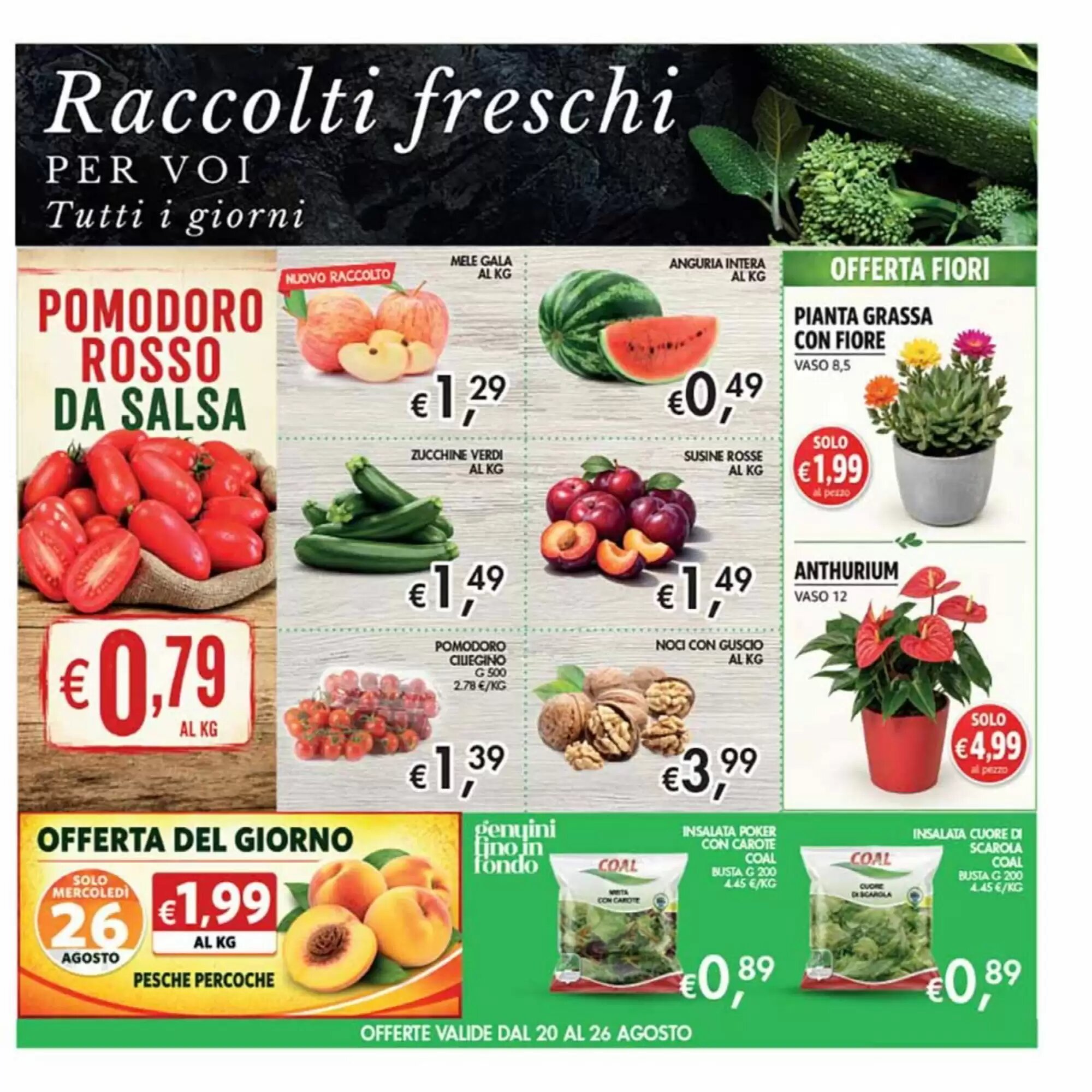 Volantino promozionale Coal  valide dal 13/08/2026 - Pagina 5.
