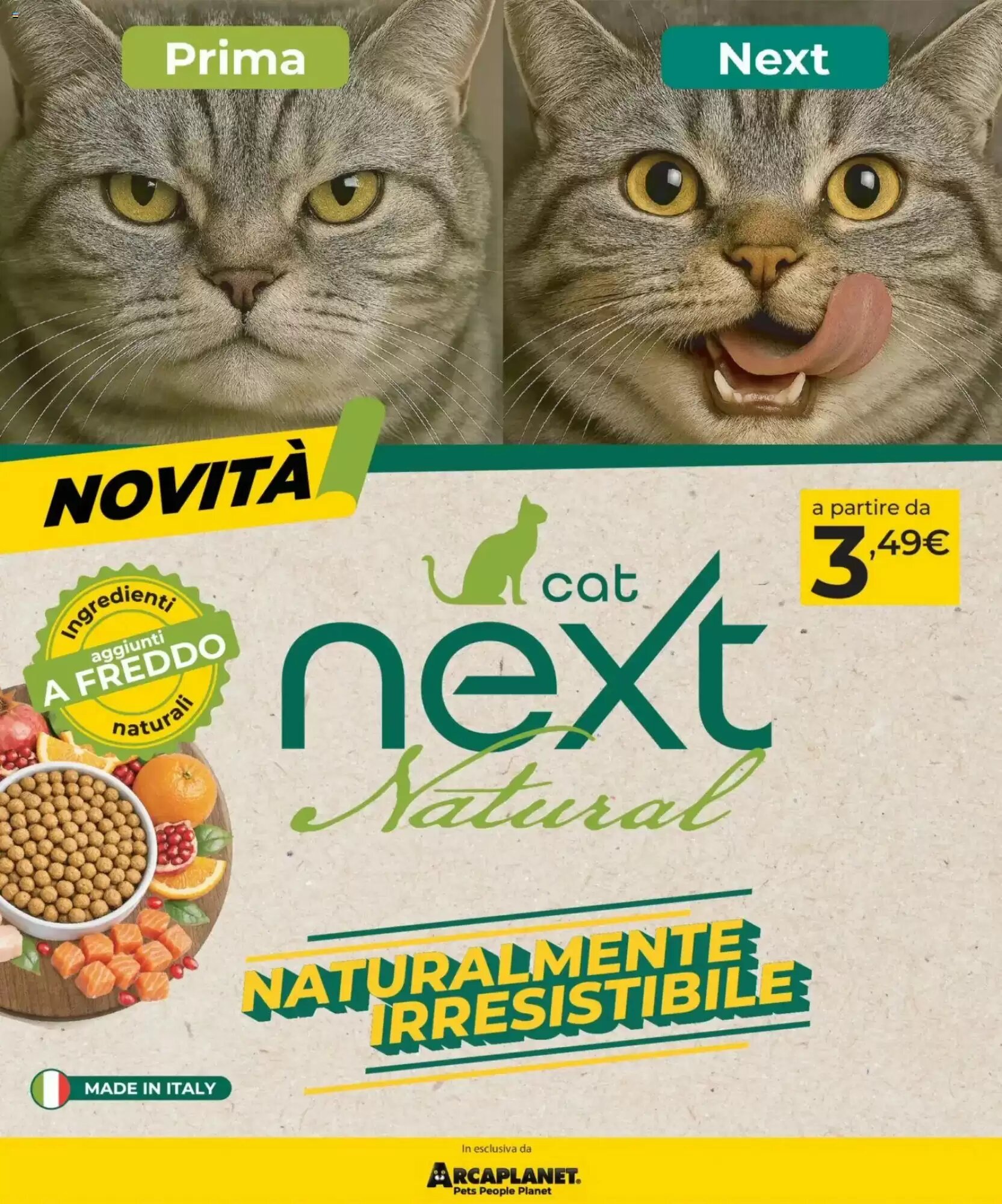 Volantino promozionale Arcaplanet  valide dal 17/08/2026 - Pagina 4.