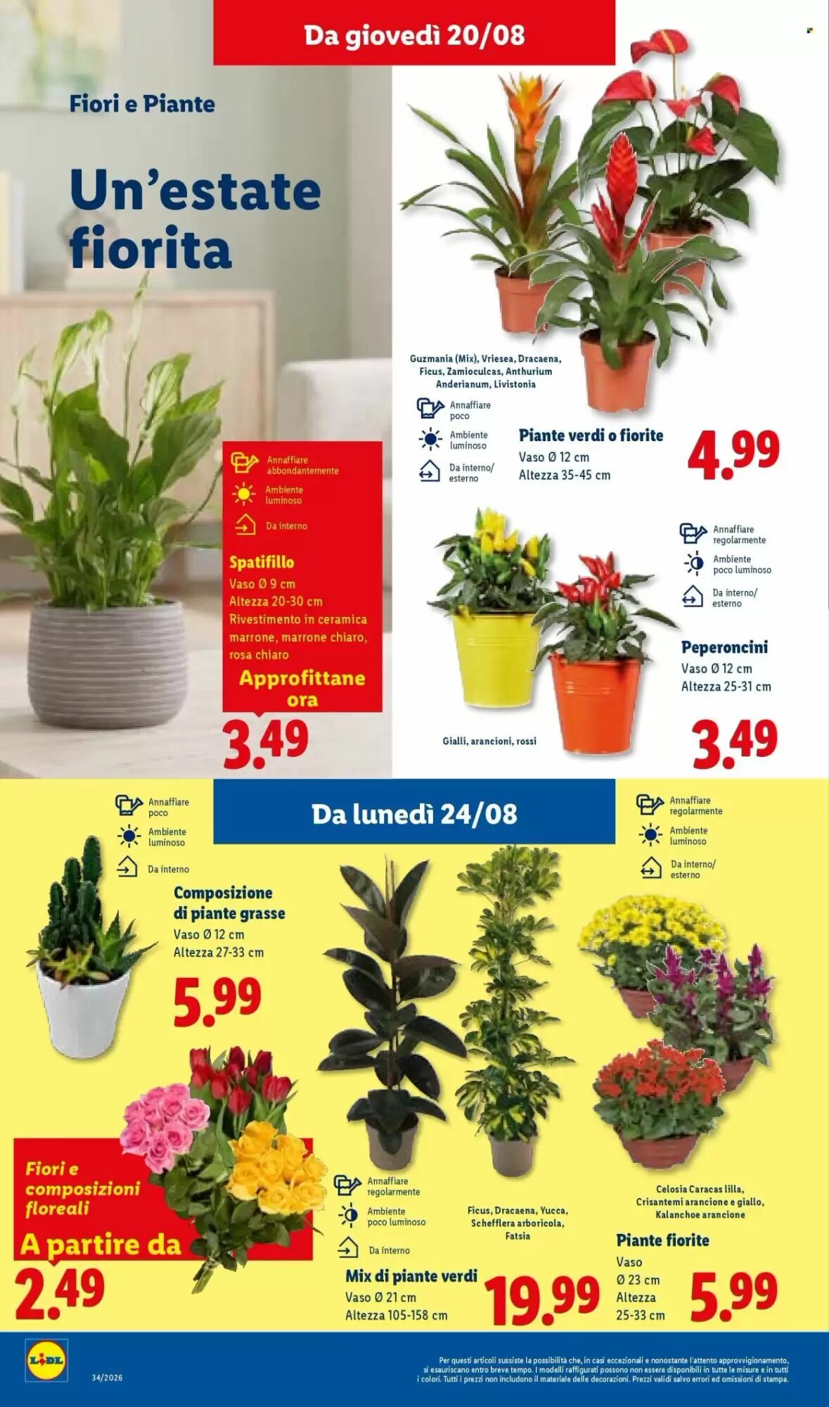 Volantino promozionale Lidl  valide dal 20/08/2026 - Pagina 26.