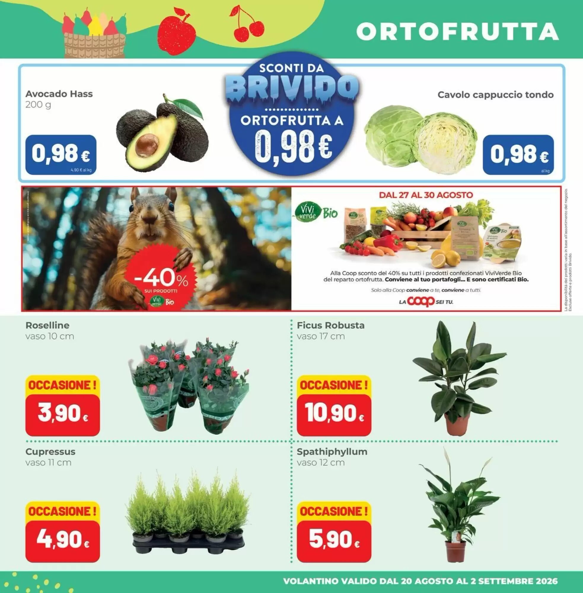 Volantino promozionale Coop Master Alleanza 3.0  valide dal 20/08/2026 - Pagina 5.