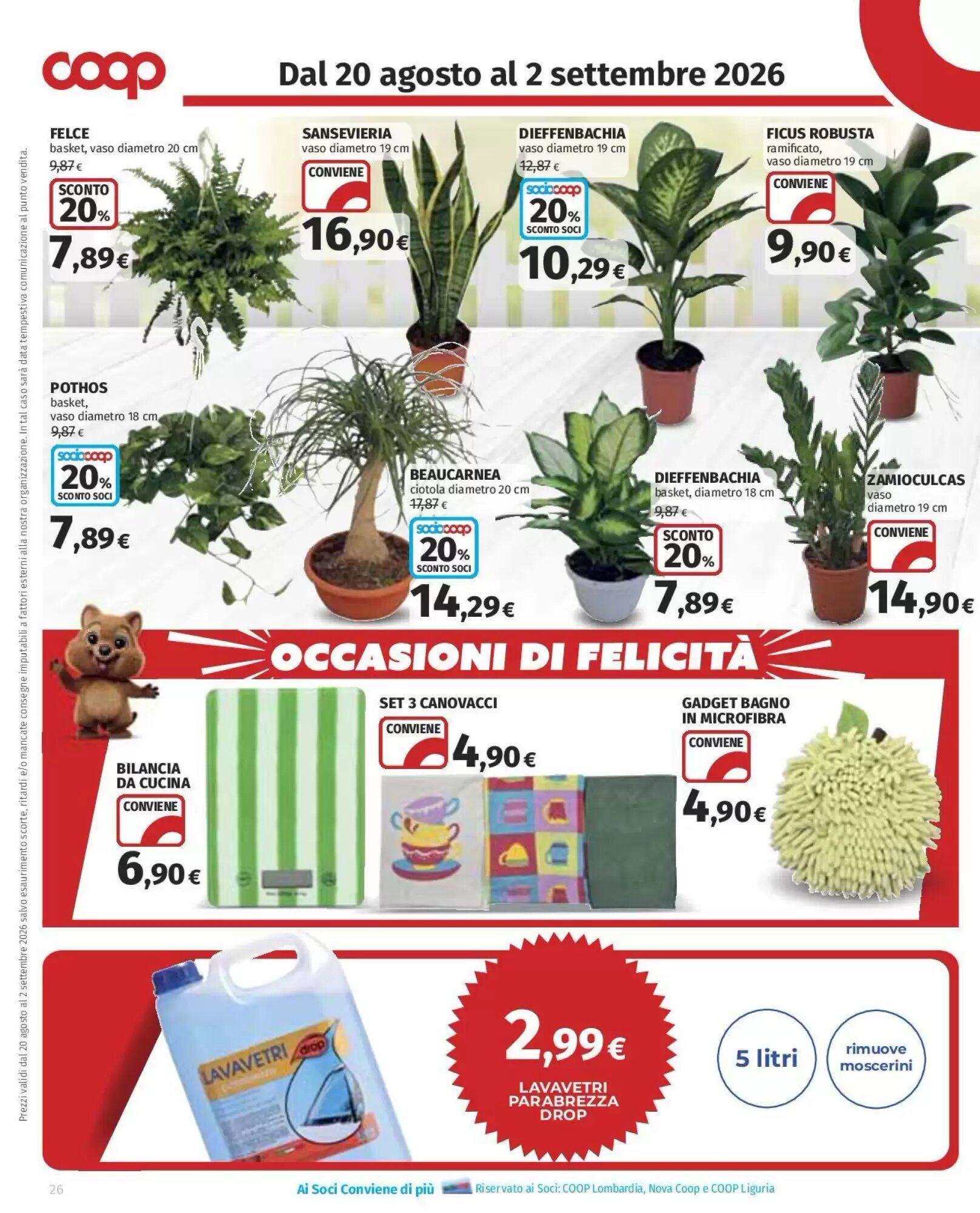 Volantino promozionale Coop Superstore  valide dal 20/08/2026 - Pagina 26.