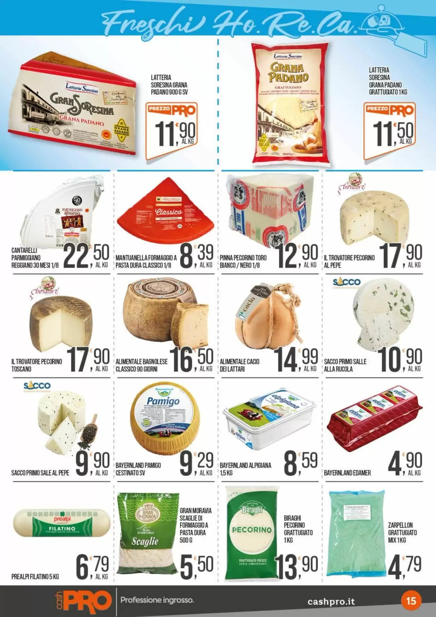 Volantino promozionale Cash pro  valide dal 24/08/2026 - Pagina 15.