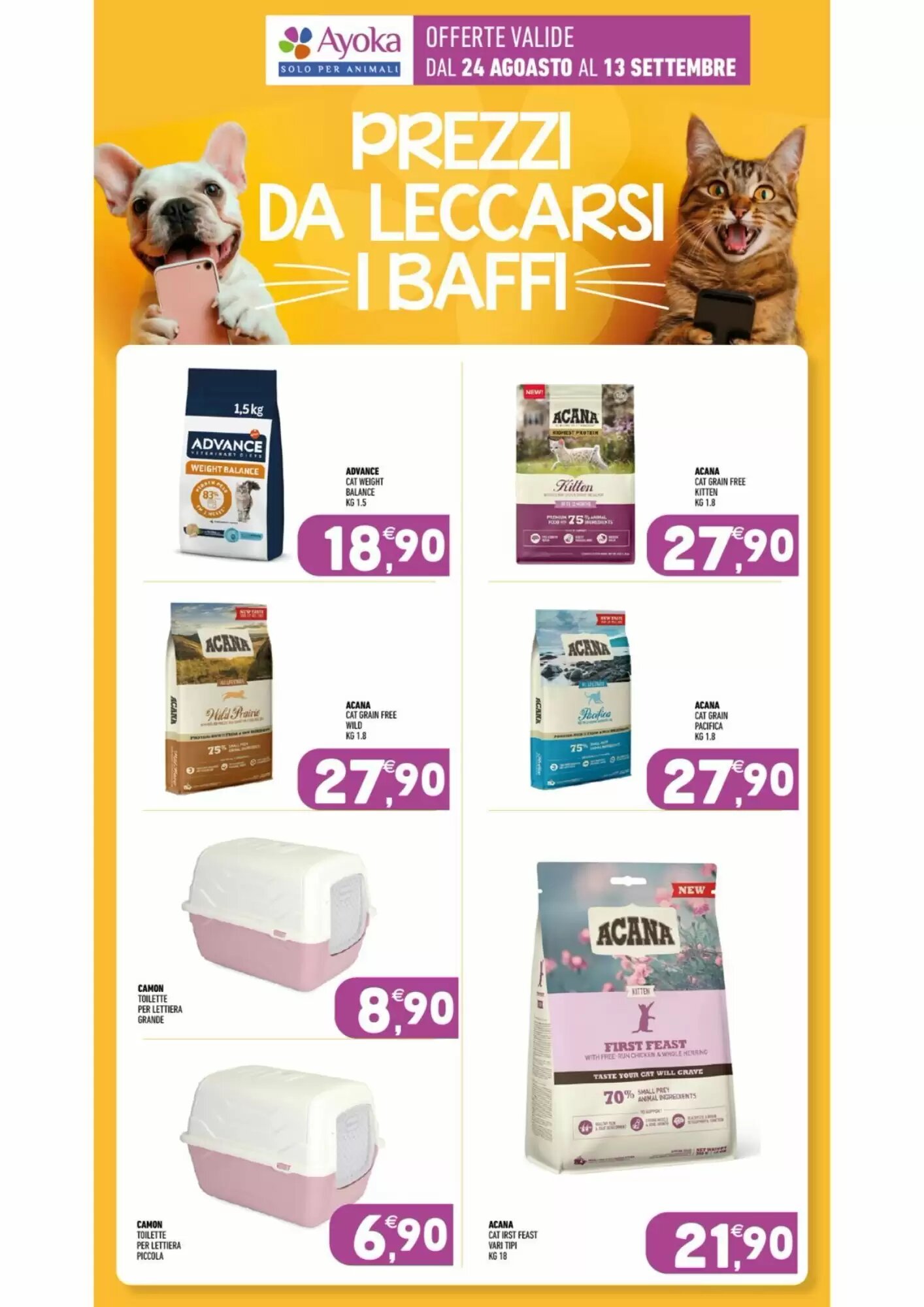 Volantino promozionale Ayoka  valide dal 24/08/2026 - Pagina 13.