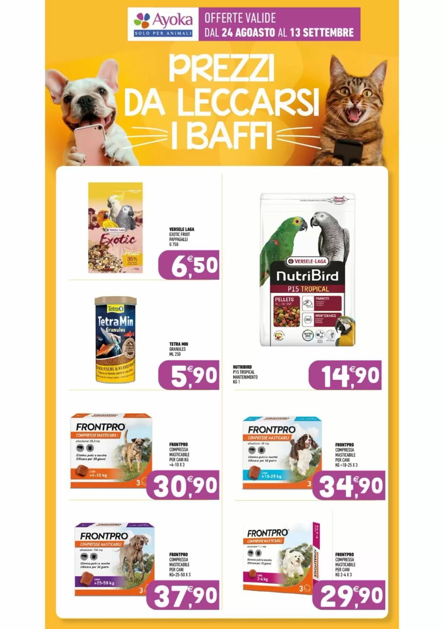 Volantino promozionale Ayoka  valide dal 24/08/2026 - Pagina 14.