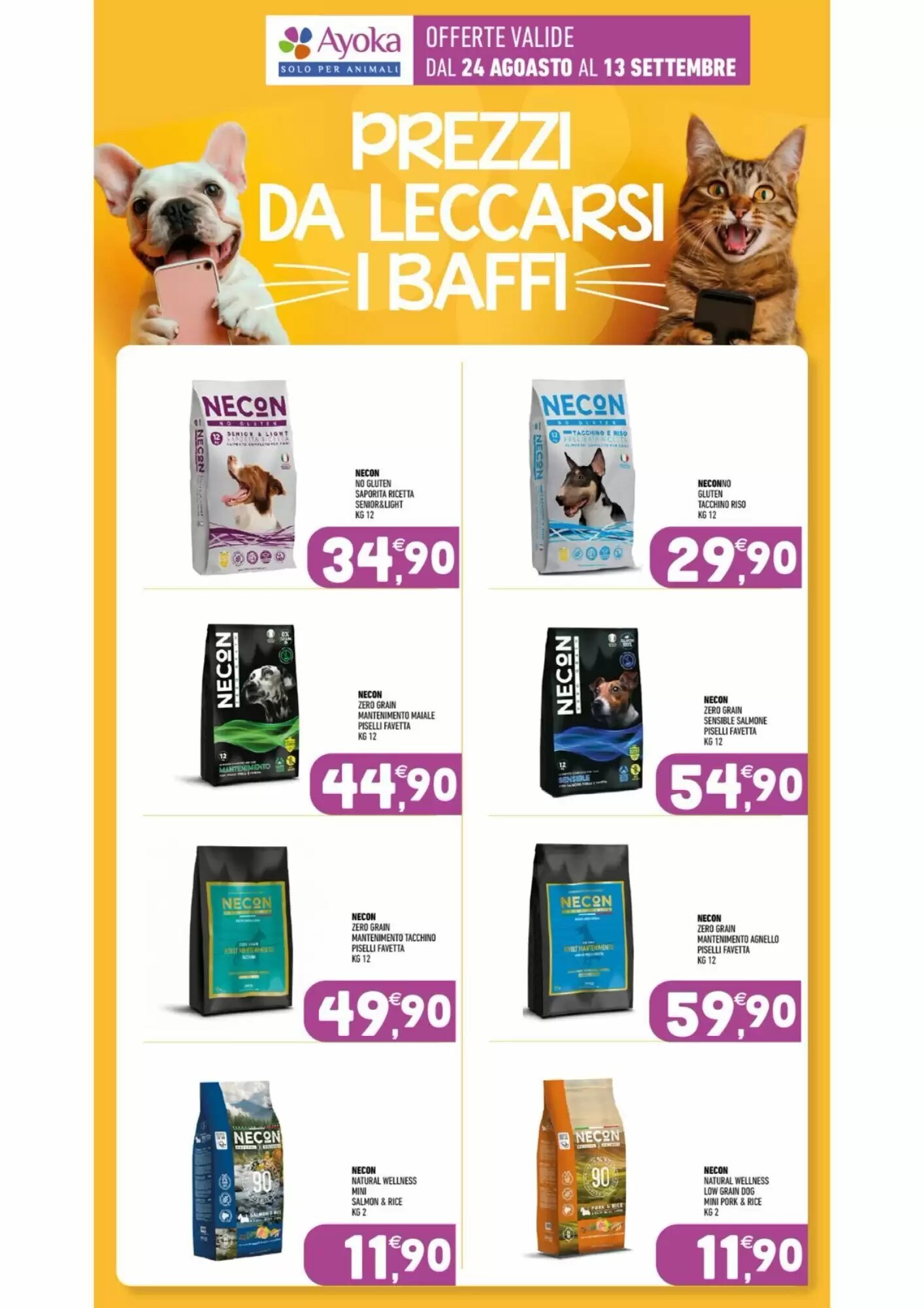 Volantino promozionale Ayoka  valide dal 24/08/2026 - Pagina 19.