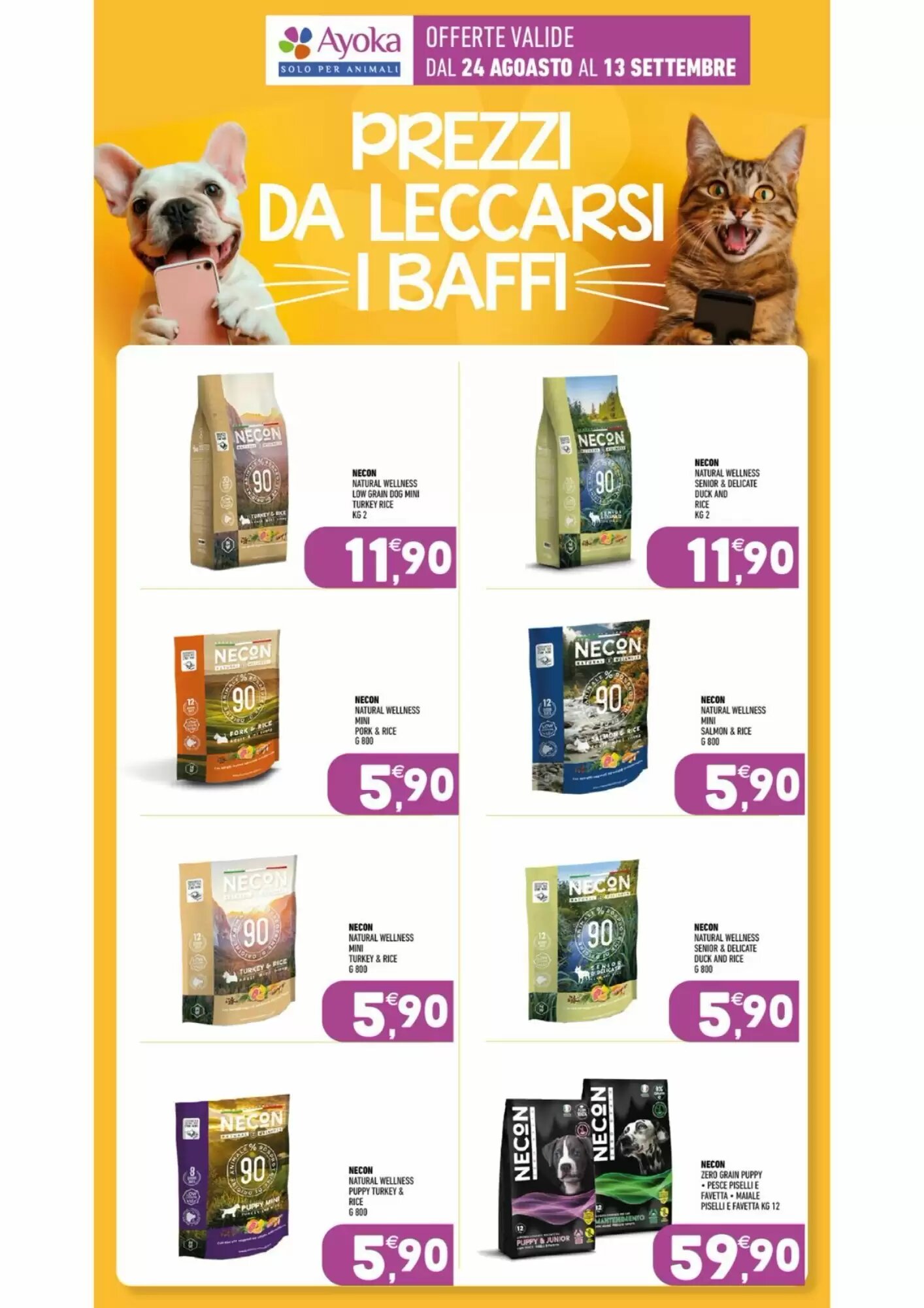 Volantino promozionale Ayoka  valide dal 24/08/2026 - Pagina 20.