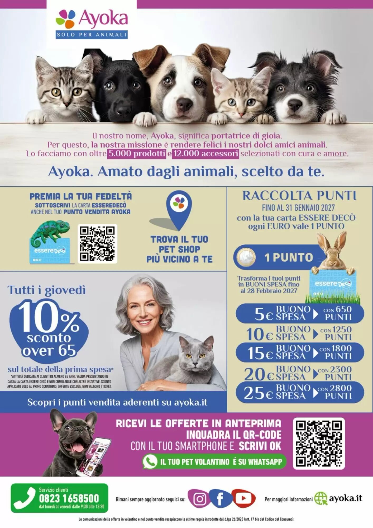 Volantino promozionale Ayoka  valide dal 24/08/2026 - Pagina 8.