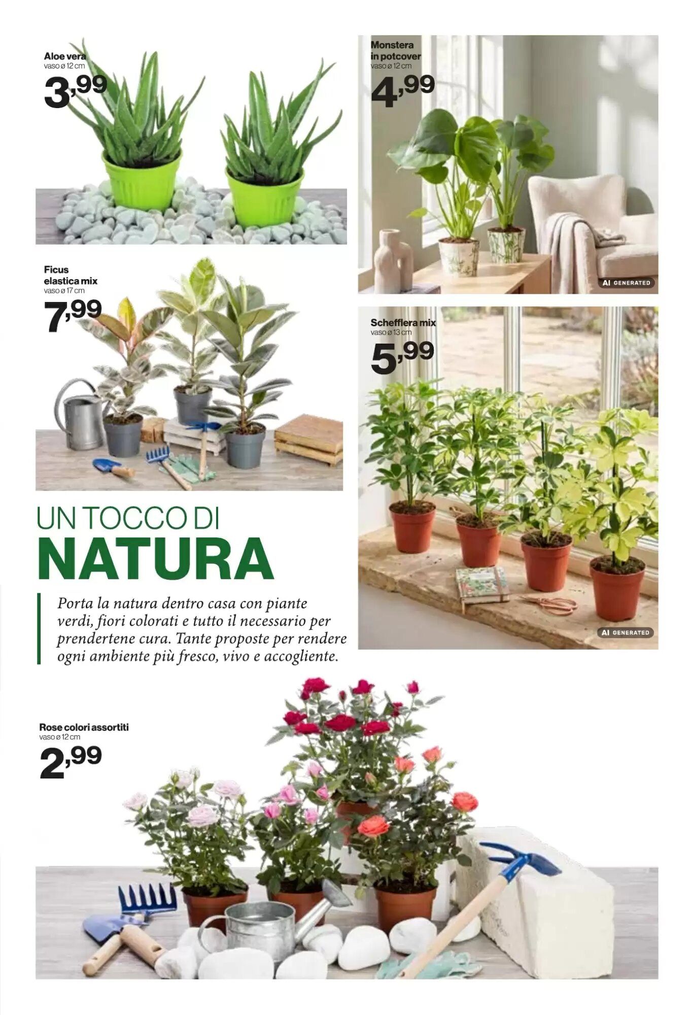 Volantino promozionale iN's Mercato  valide dal 26/08/2026 - Pagina 15.