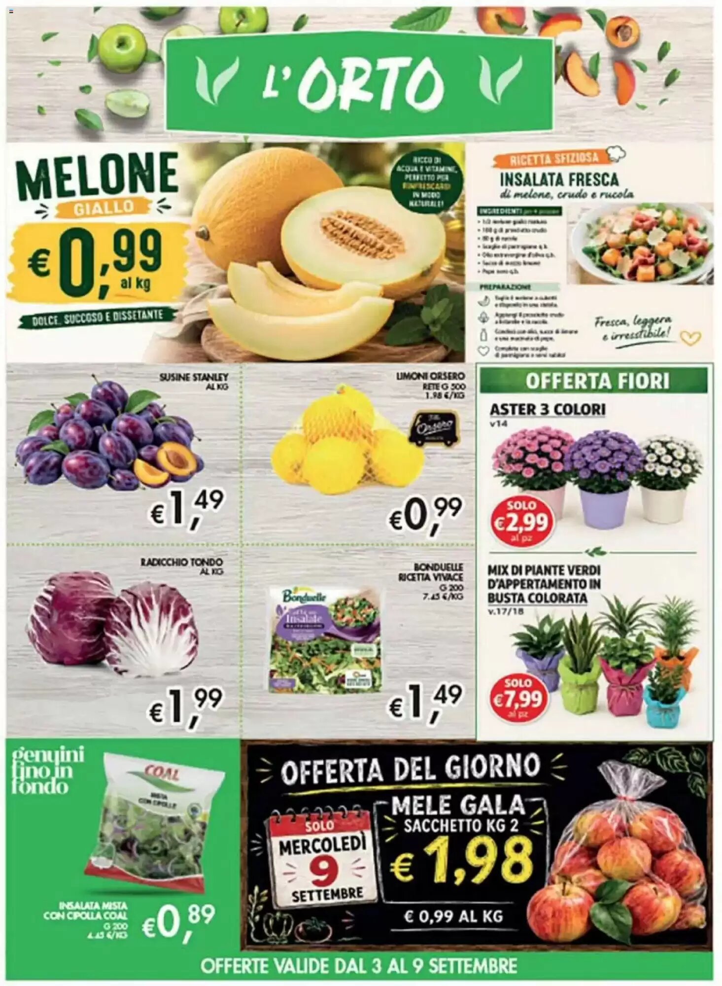 Volantino promozionale Coal  valide dal 27/08/2026 - Pagina 3.