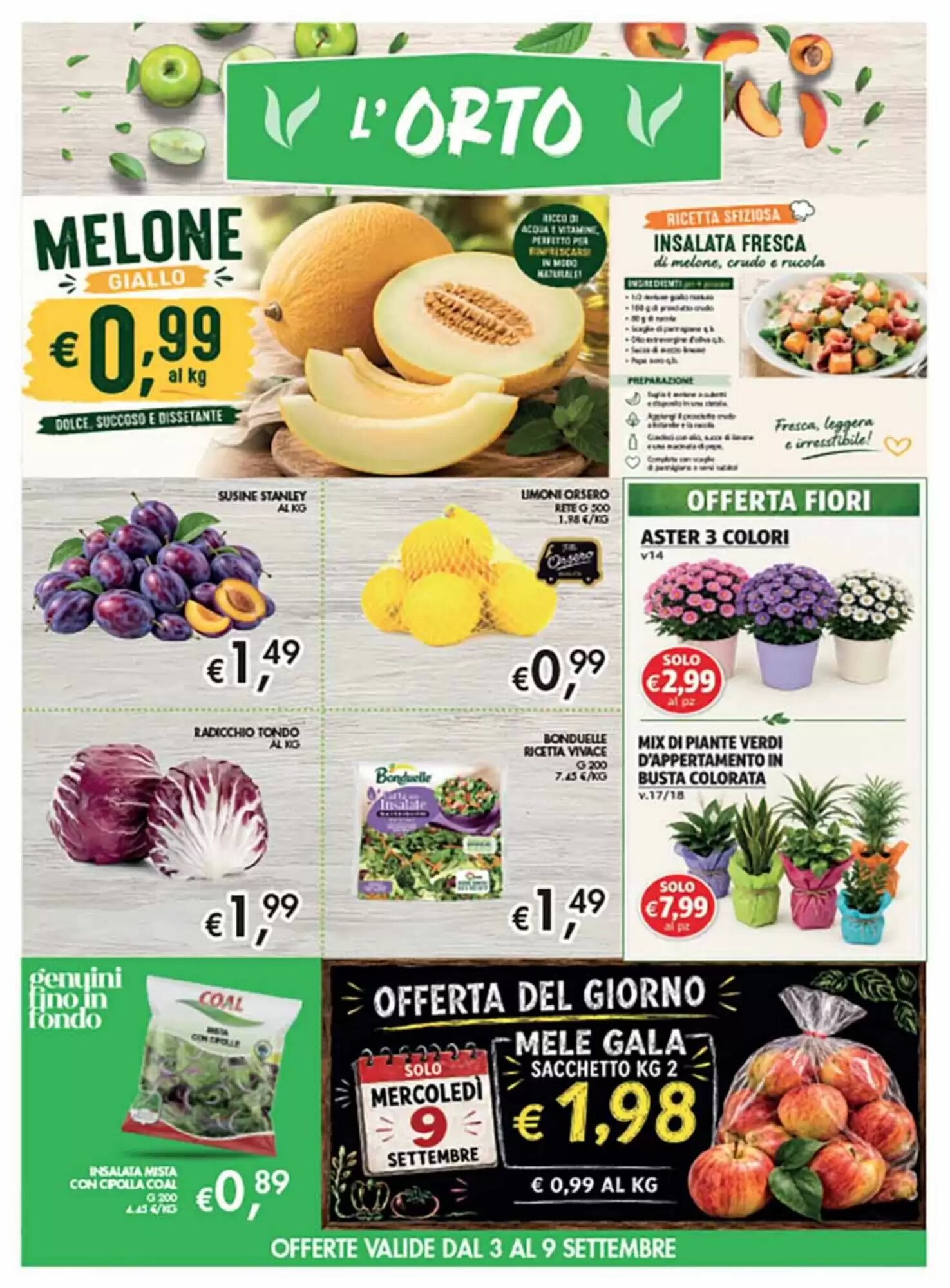 Volantino promozionale Coal  valide dal 27/08/2026 - Pagina 3.