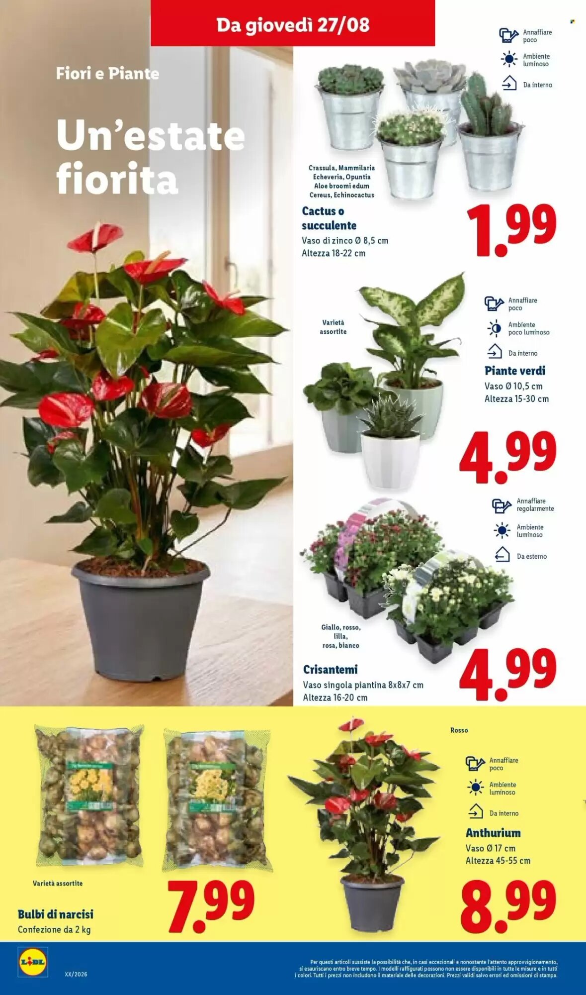 Volantino promozionale Lidl  valide dal 27/08/2026 - Pagina 32.