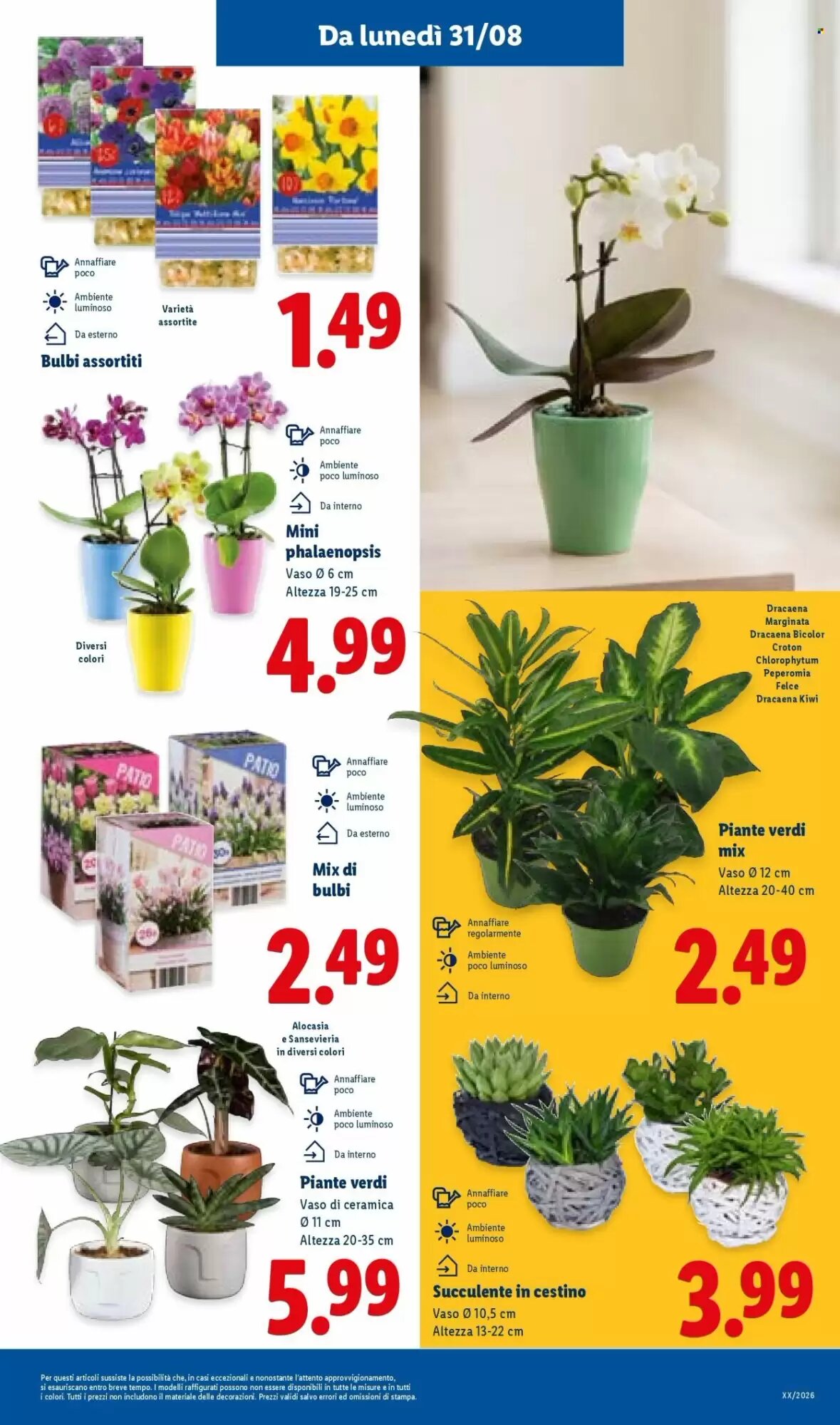 Volantino promozionale Lidl  valide dal 27/08/2026 - Pagina 33.