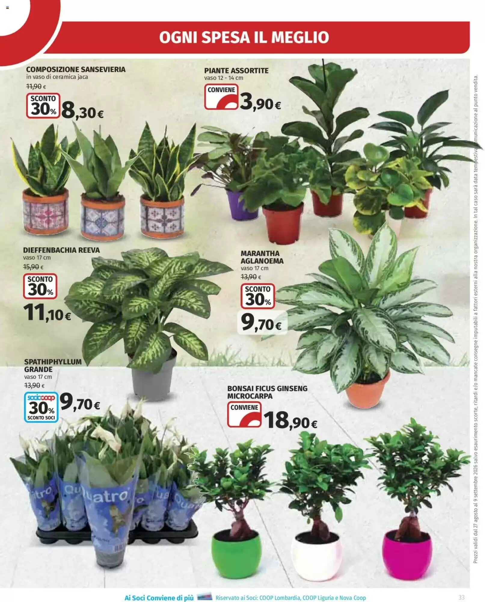 Volantino promozionale Ipercoop  valide dal 27/08/2026 - Pagina 33.