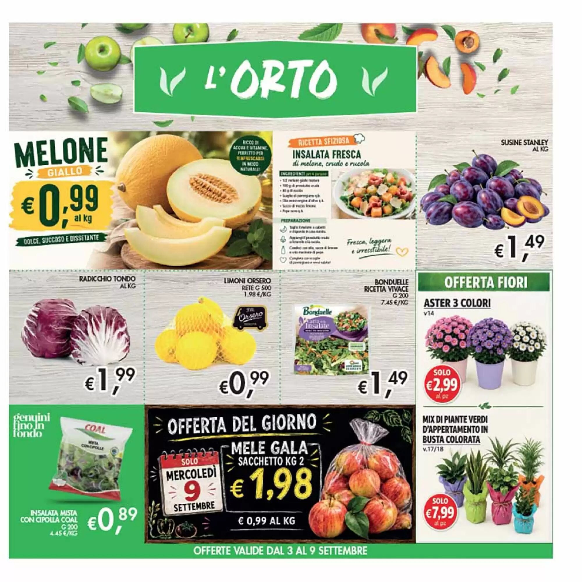 Volantino promozionale Coal  valide dal 27/08/2026 - Pagina 3.