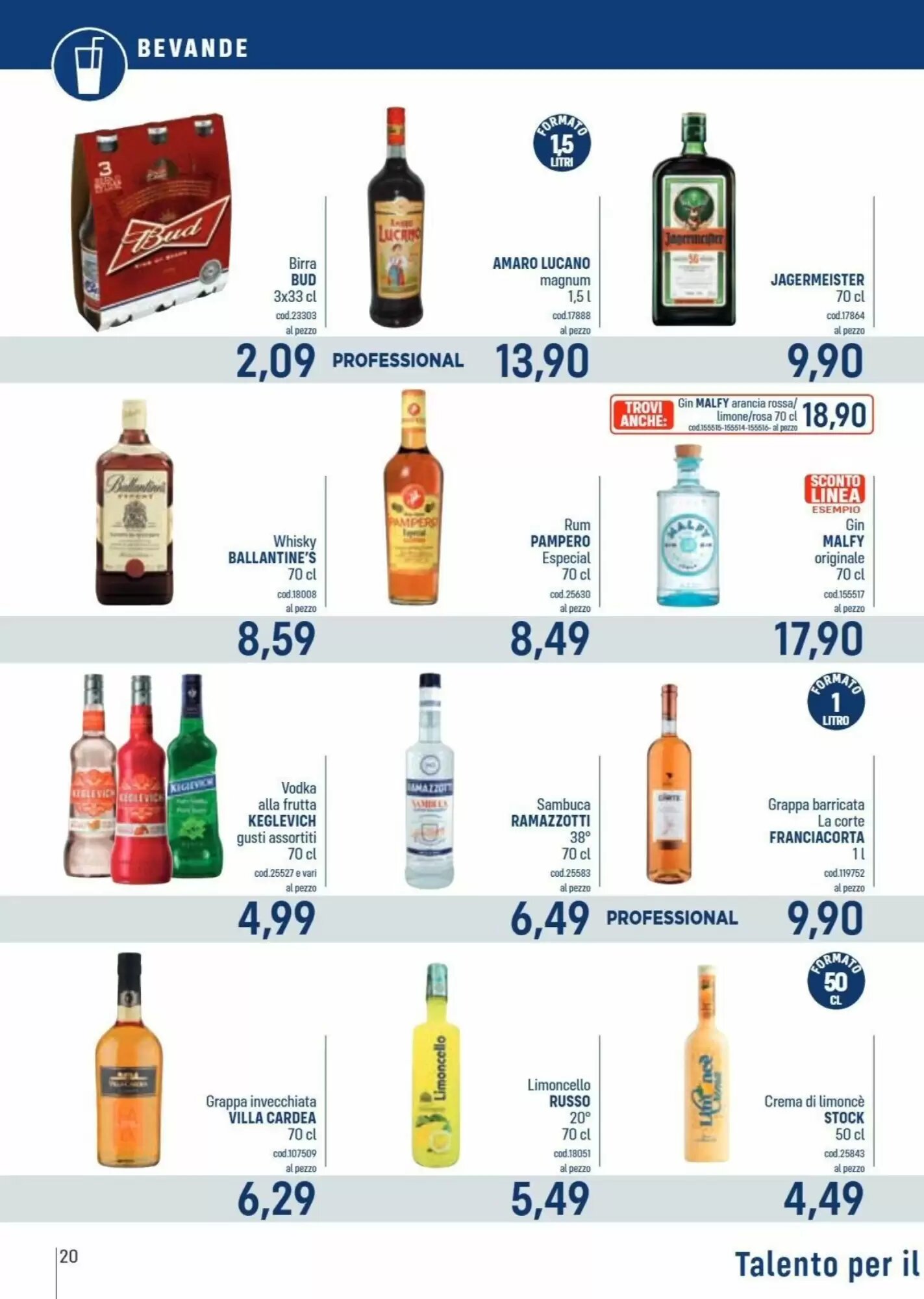Volantino promozionale Talento Professional Store  valide dal 31/08/2026 - Pagina 20.