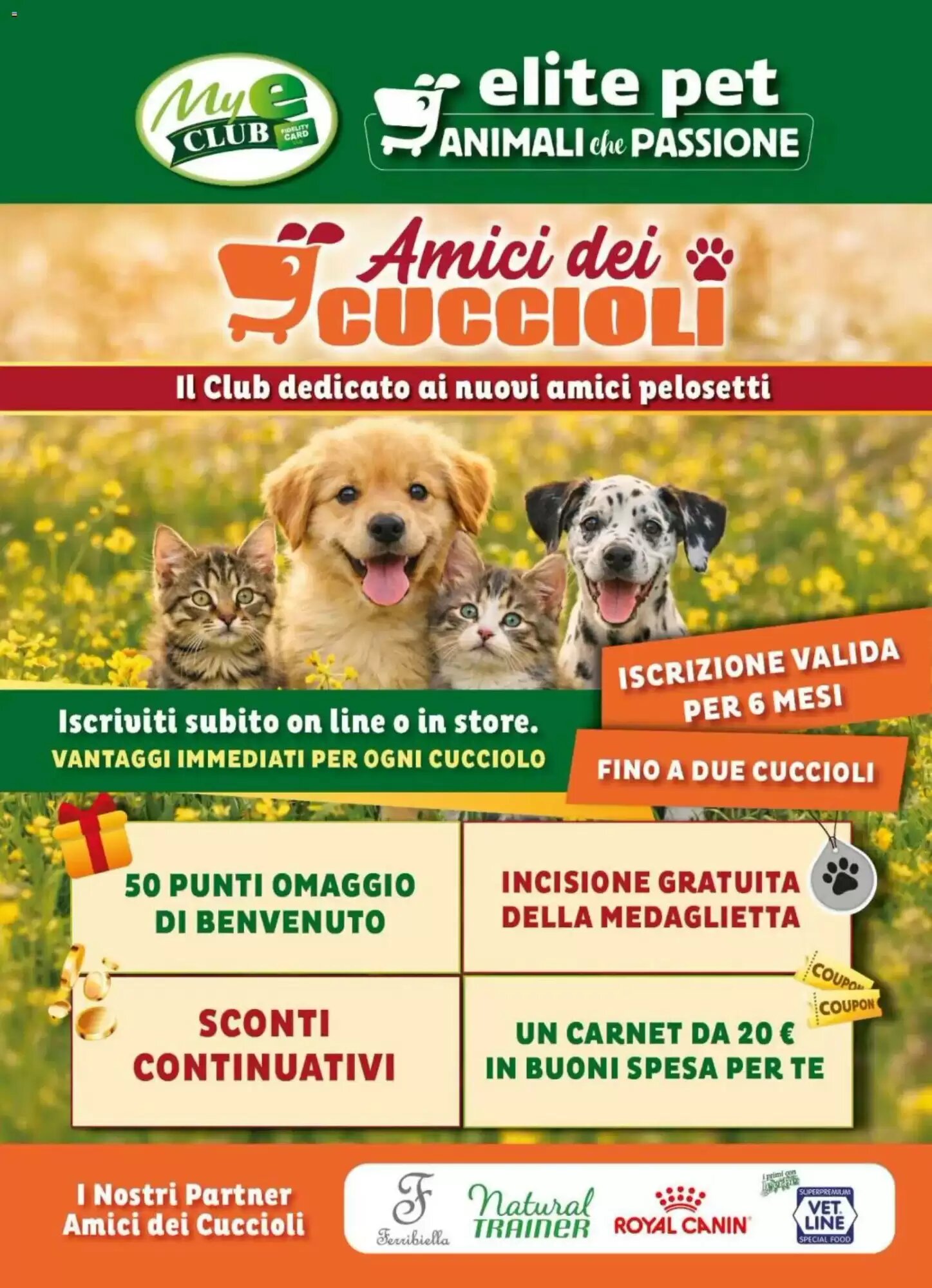 Volantino promozionale Elite Pet  valide dal 02/09/2026 - Pagina 7.