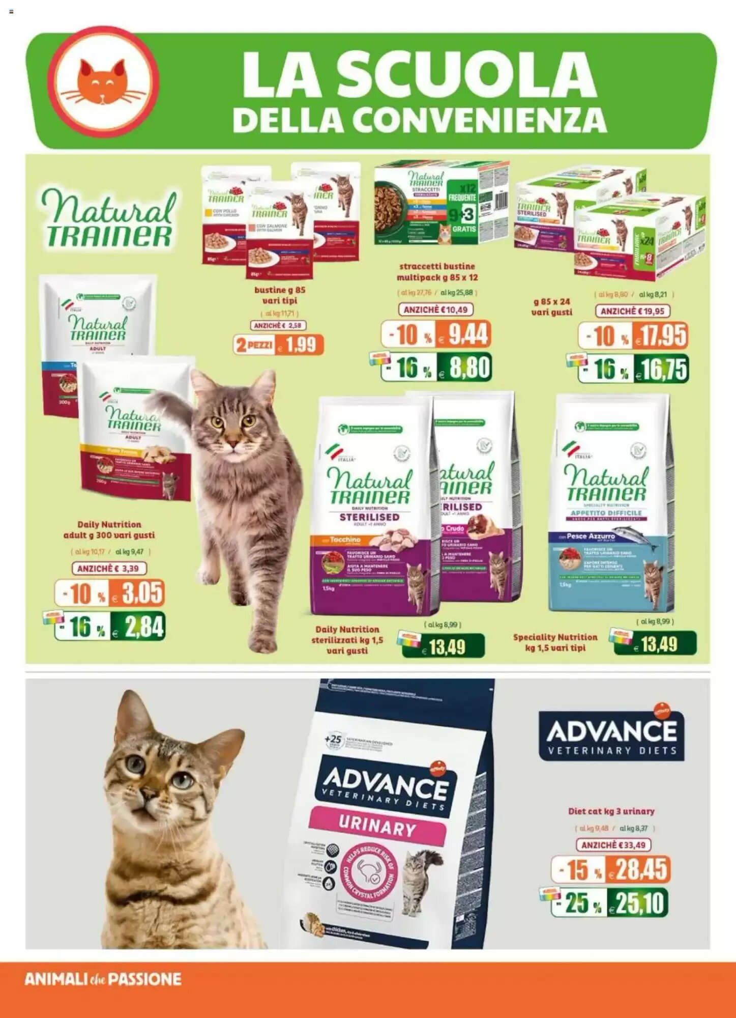 Volantino promozionale Elite Pet  valide dal 02/09/2026 - Pagina 8.
