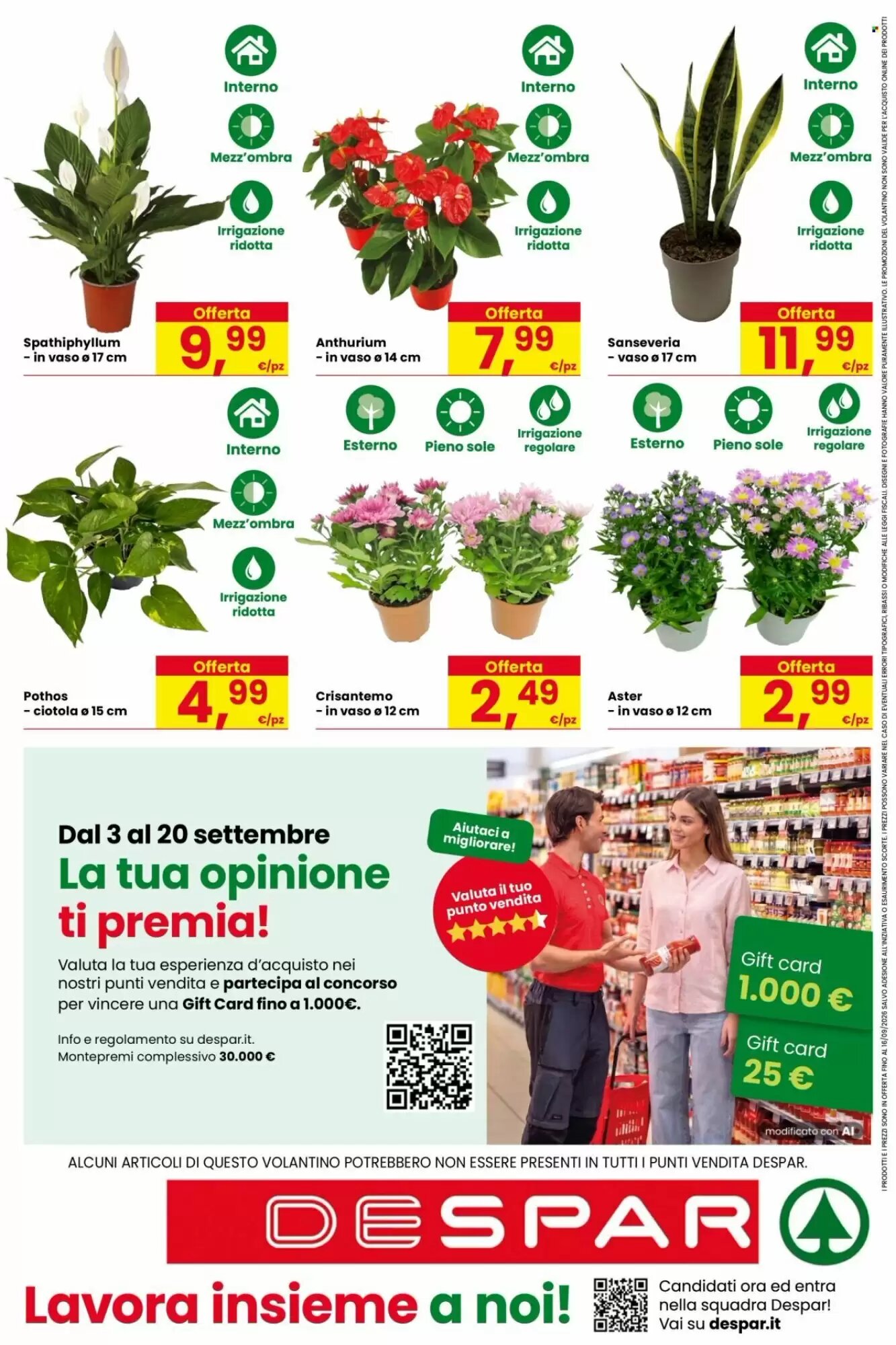 Volantino promozionale Despar  valide dal 03/09/2026 - Pagina 16.