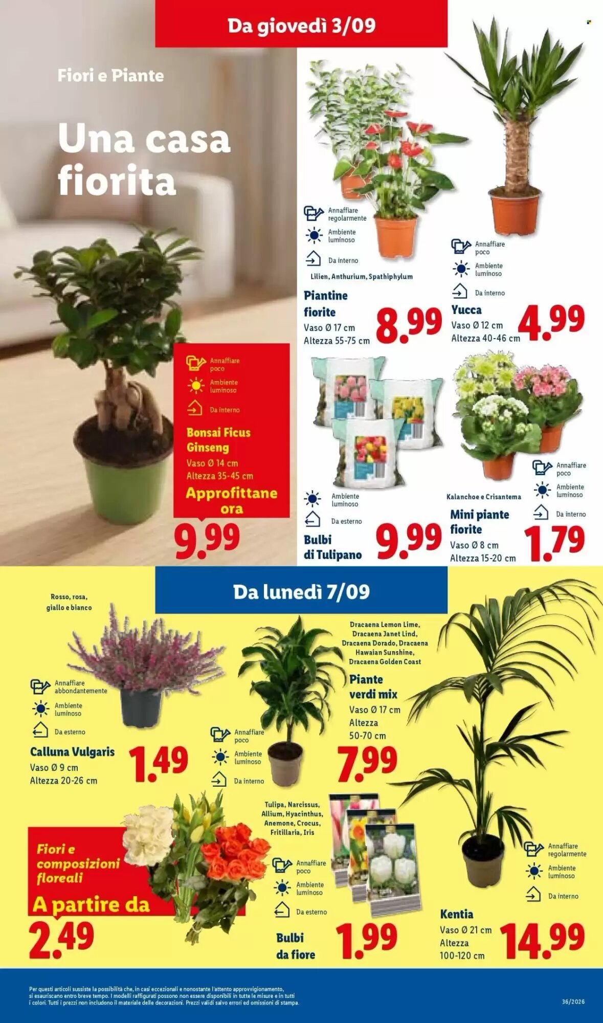 Volantino promozionale Lidl  valide dal 03/09/2026 - Pagina 11.