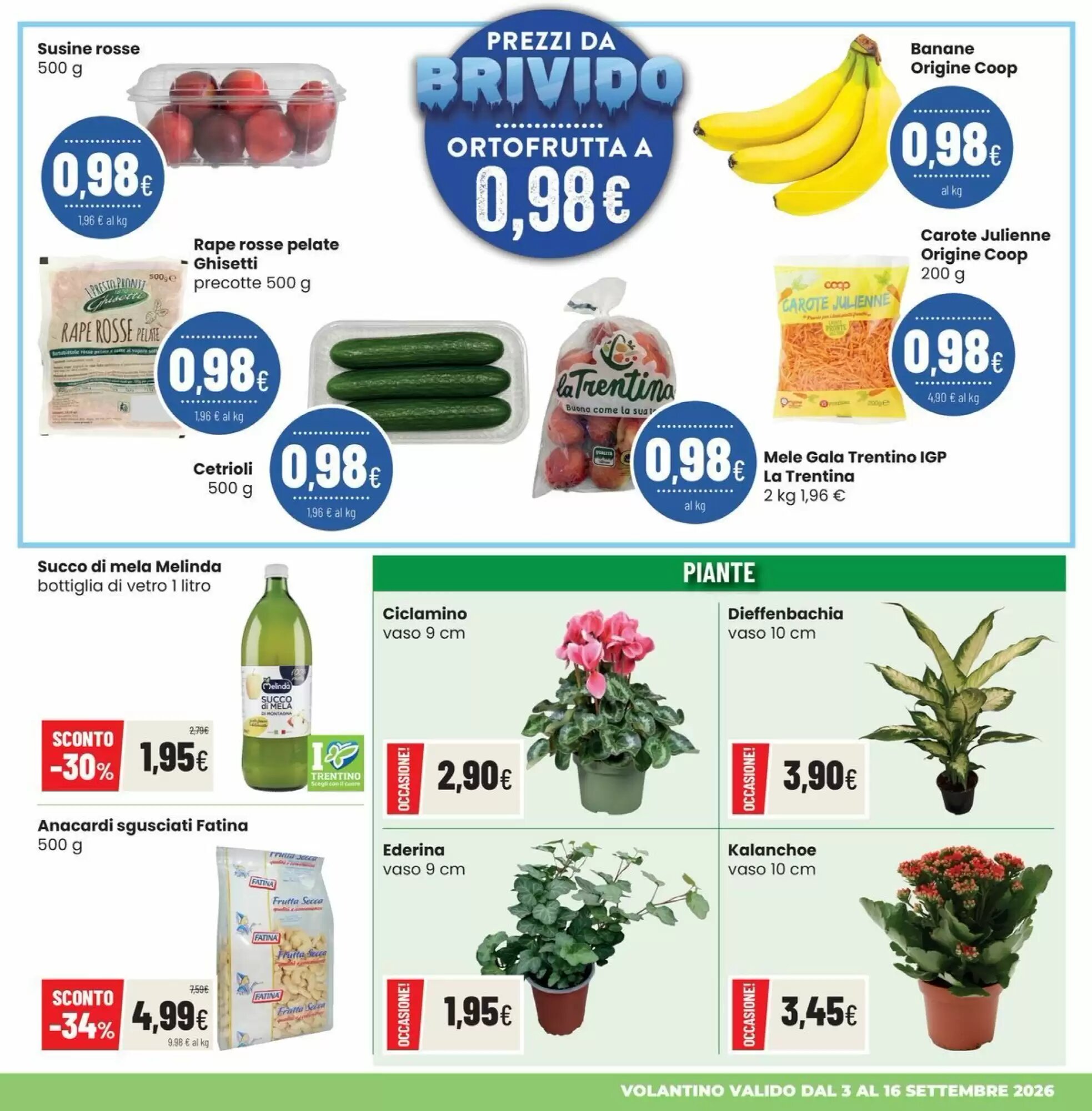 Volantino promozionale Coop Master Alleanza 3.0  valide dal 03/09/2026 - Pagina 5.