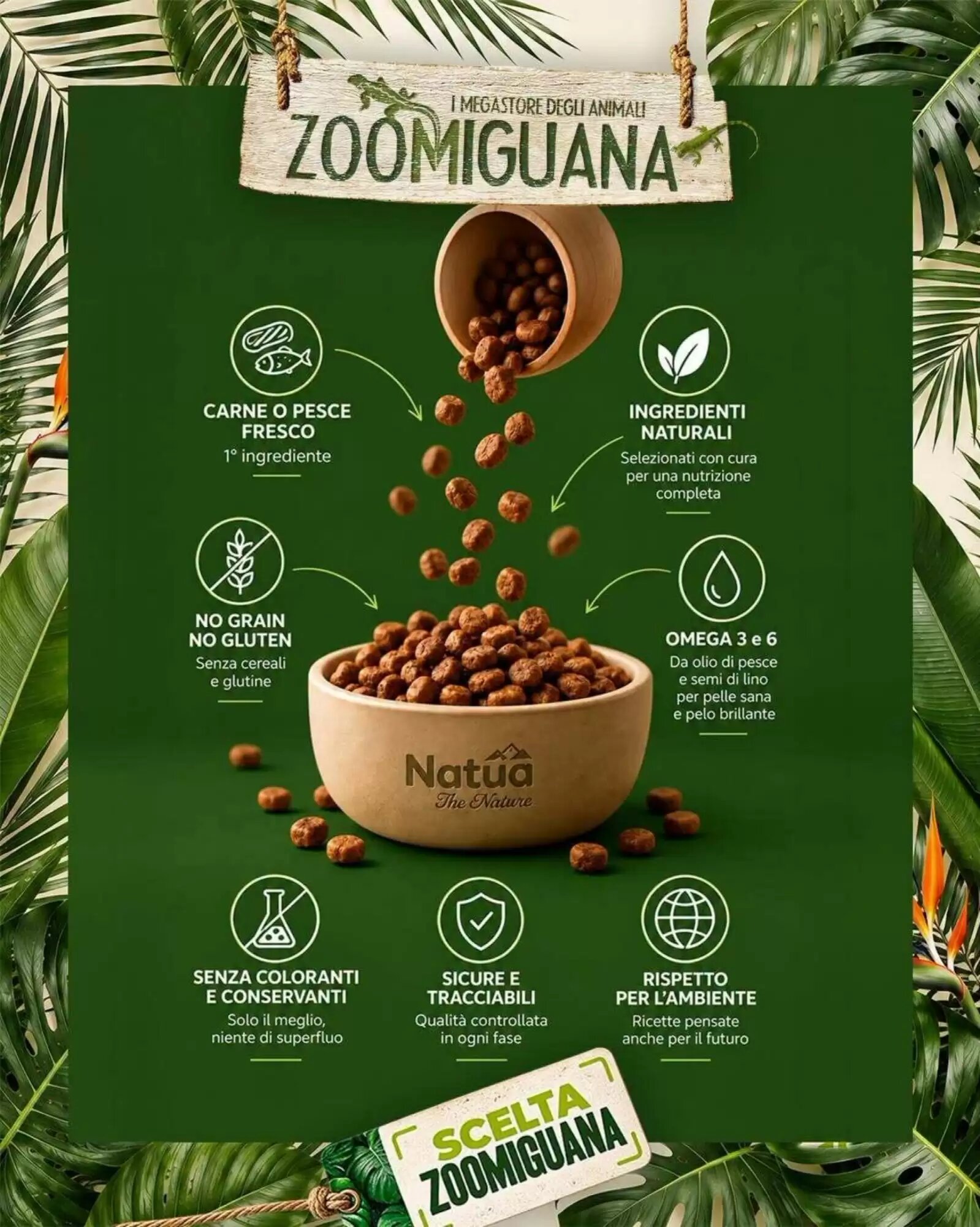 Volantino promozionale Zoomiguana  valide dal 06/09/2026 - Pagina 2.
