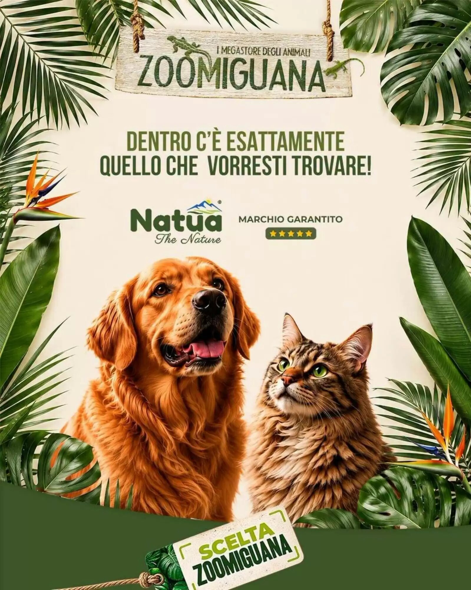 Volantino promozionale Zoomiguana  valide dal 06/09/2026 - Pagina 3.