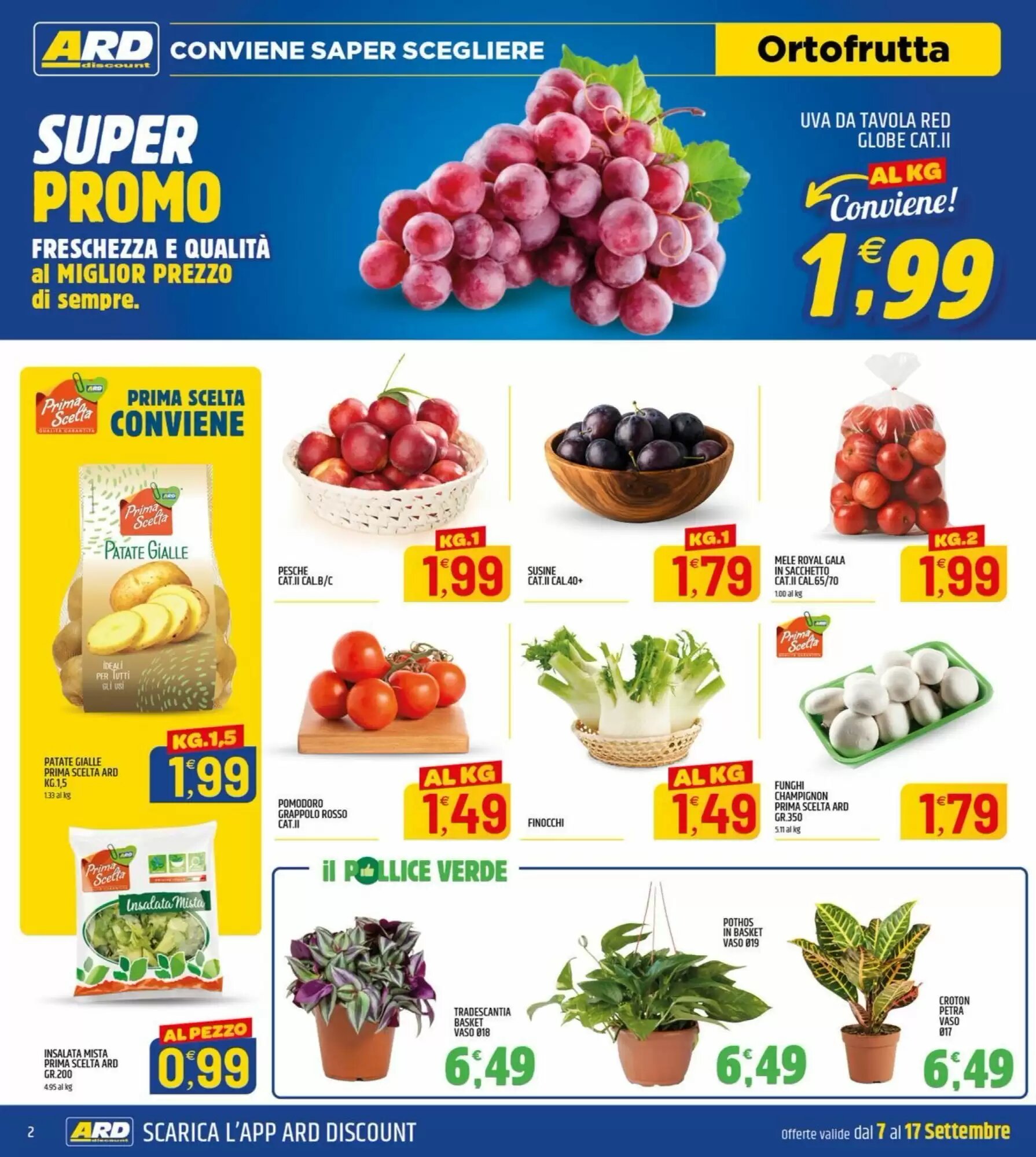 Volantino promozionale Ard Discount  valide dal 07/09/2026 - Pagina 2.