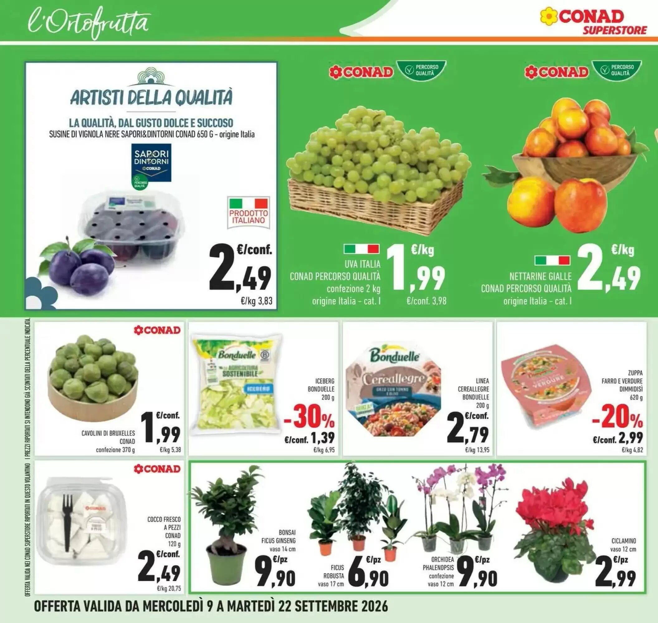 Volantino promozionale Conad  valide dal 08/09/2026 - Pagina 28.